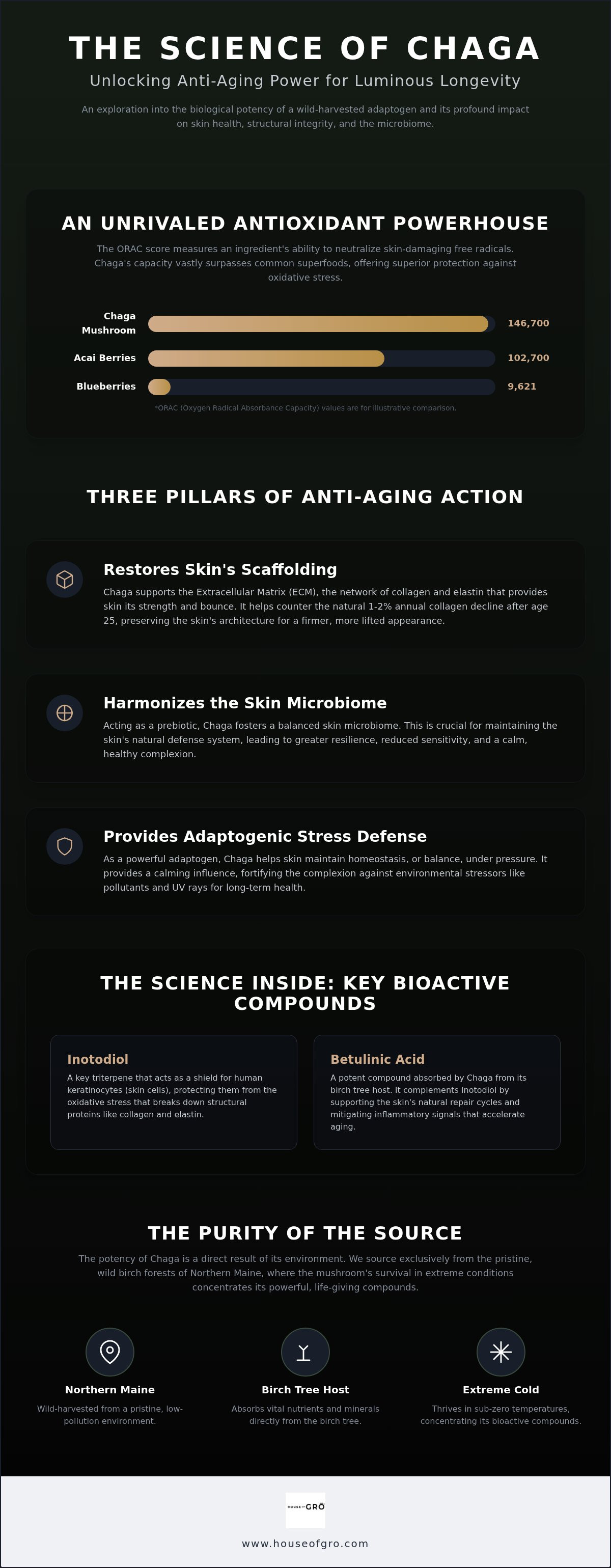 Chaga mushroom anti aging