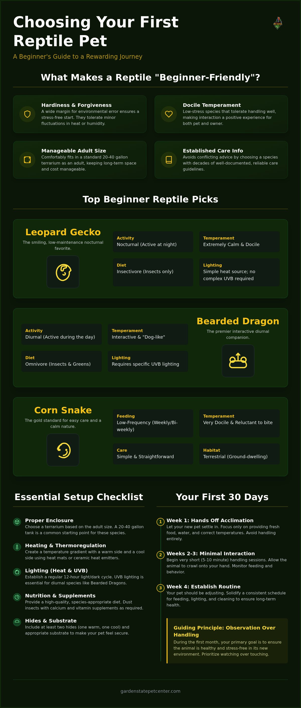 Beginner reptile pets