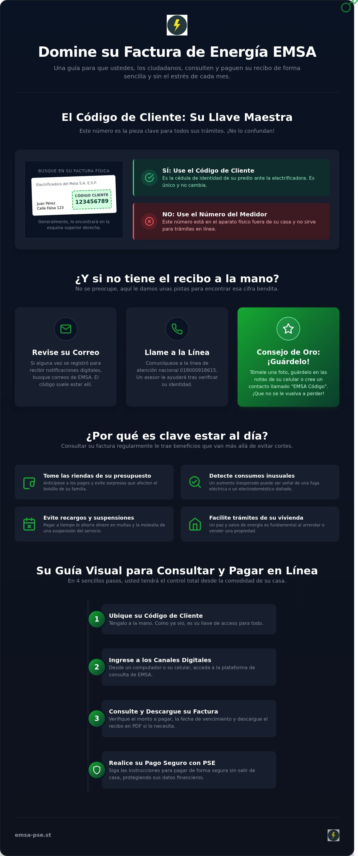 Consultar emsa