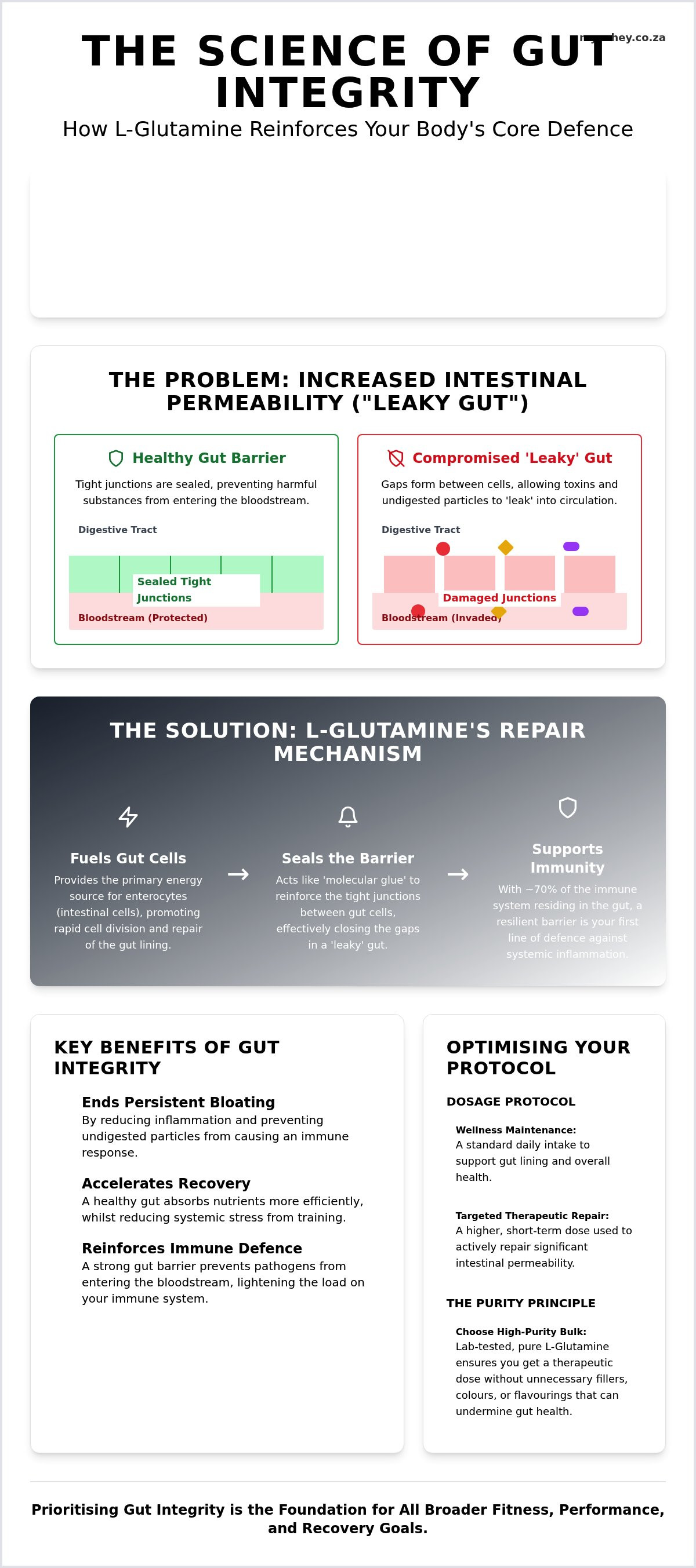 L-glutamine benefits for gut health