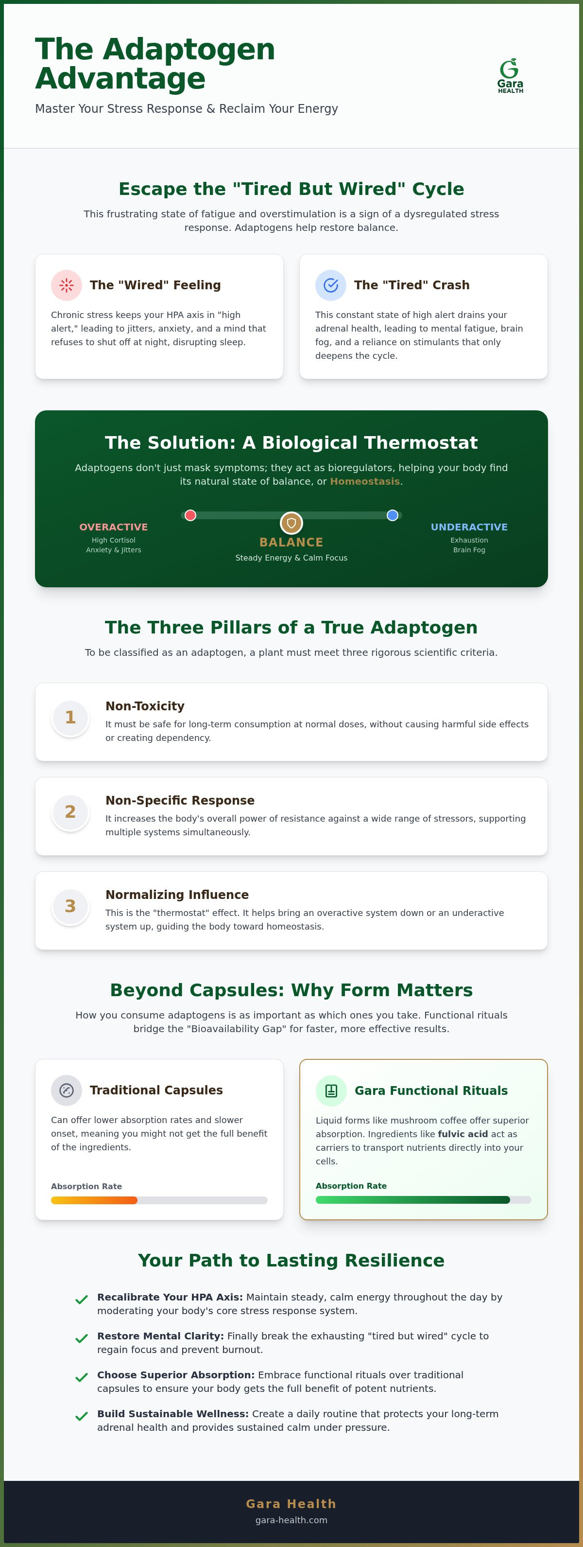 Adaptogenic herbs for stress and anxiety