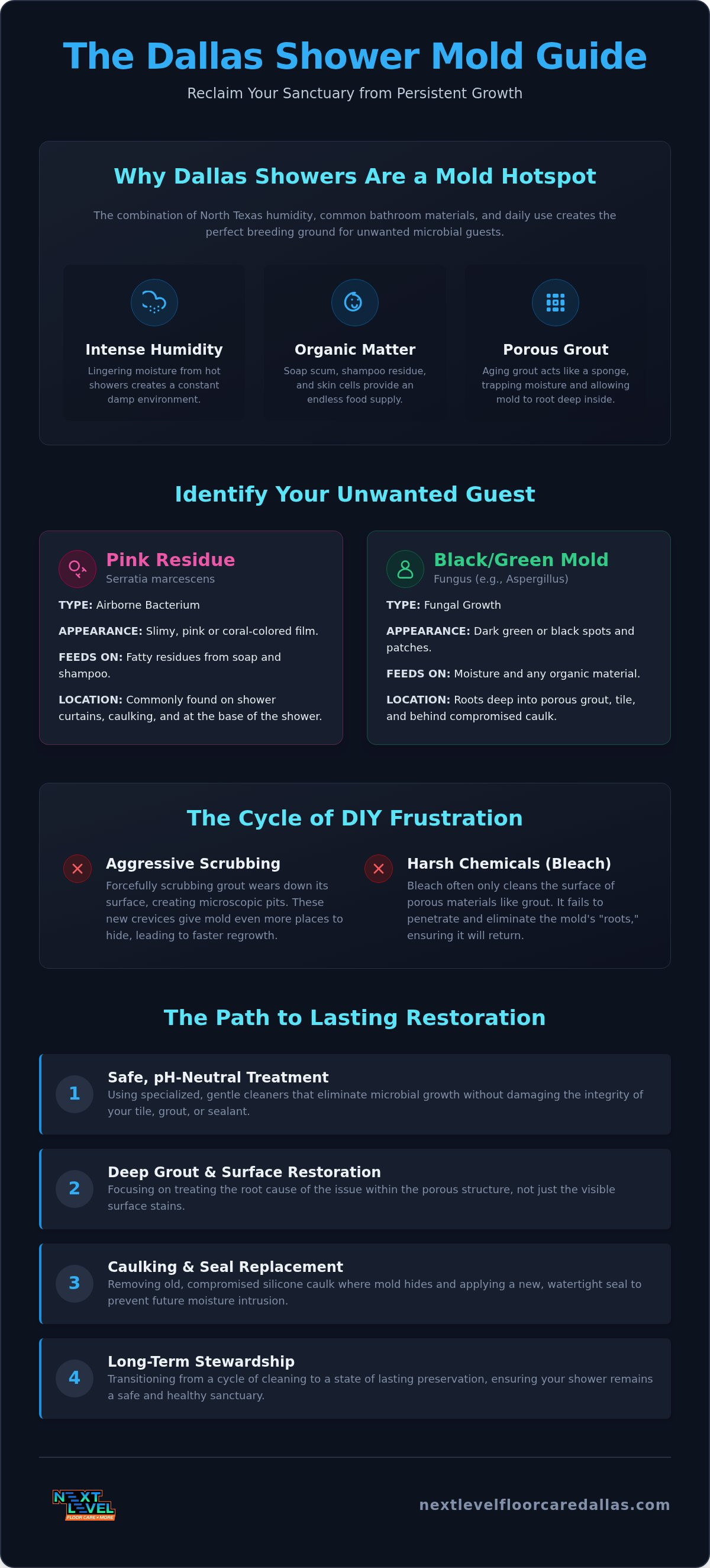 Shower mold removal services dallas