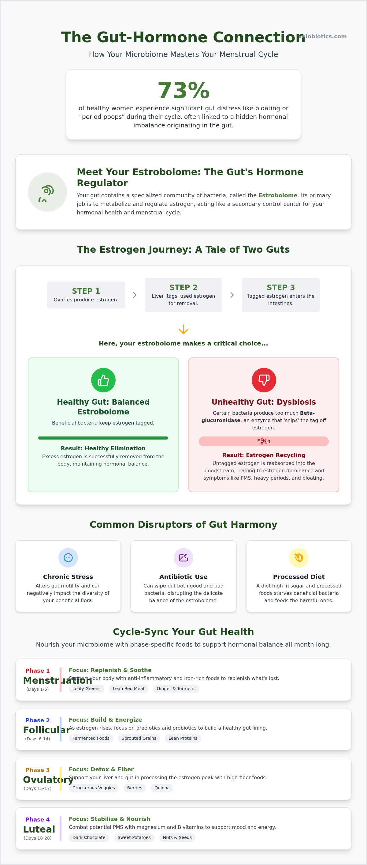 How gut health affects the menstrual cycle