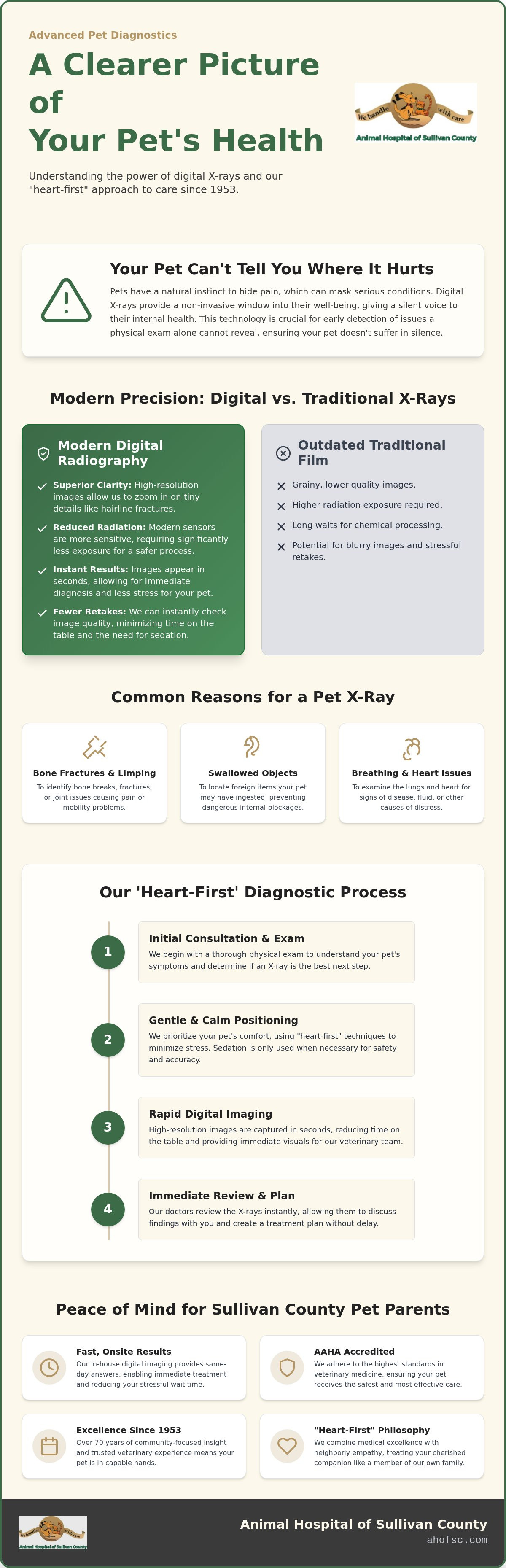 Pet x-rays Sullivan County