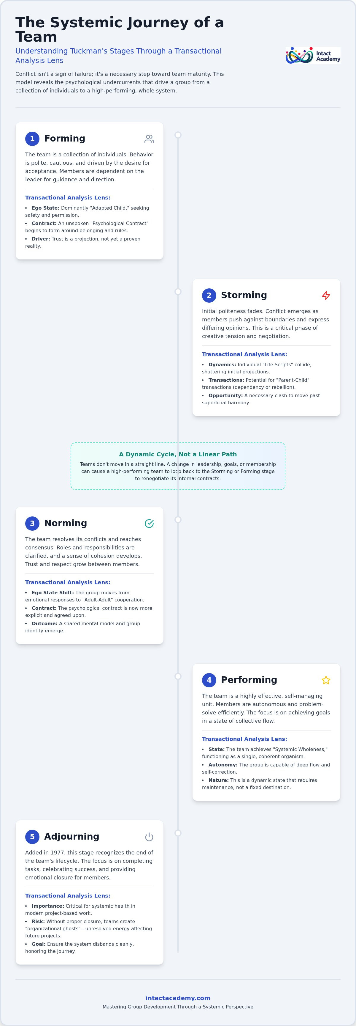 Tuckman's stages of group development