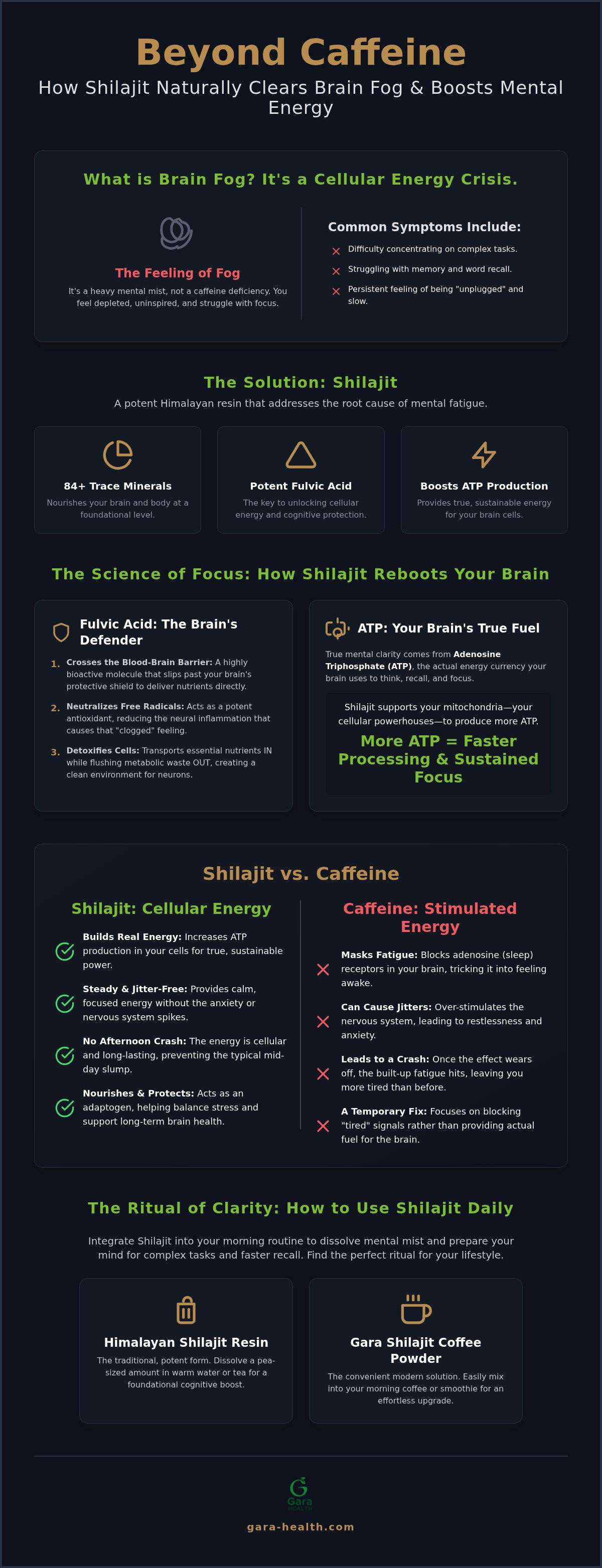 Shilajit for brain fog