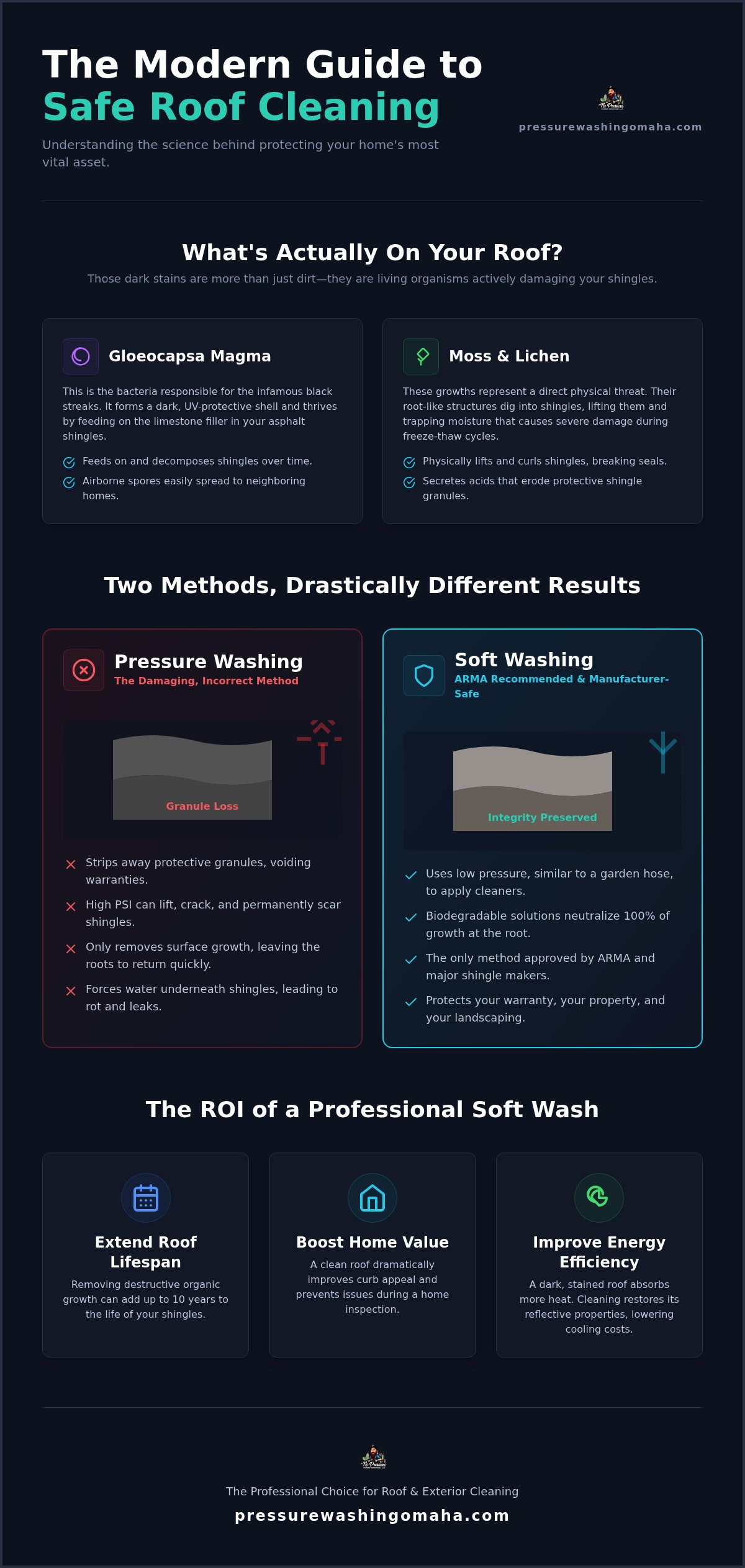 Roof cleaning Elkhorn