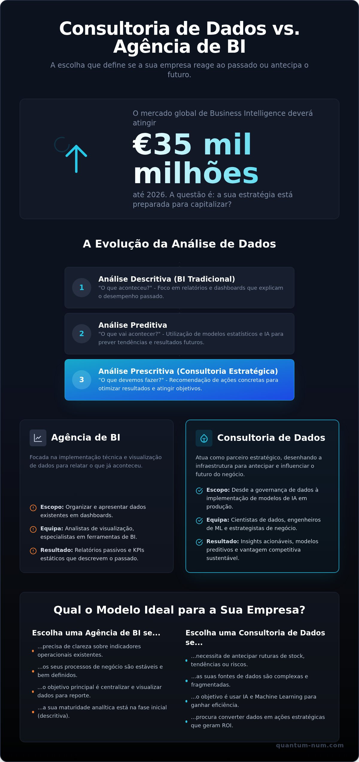 Consultoria de dados vs agência de bi