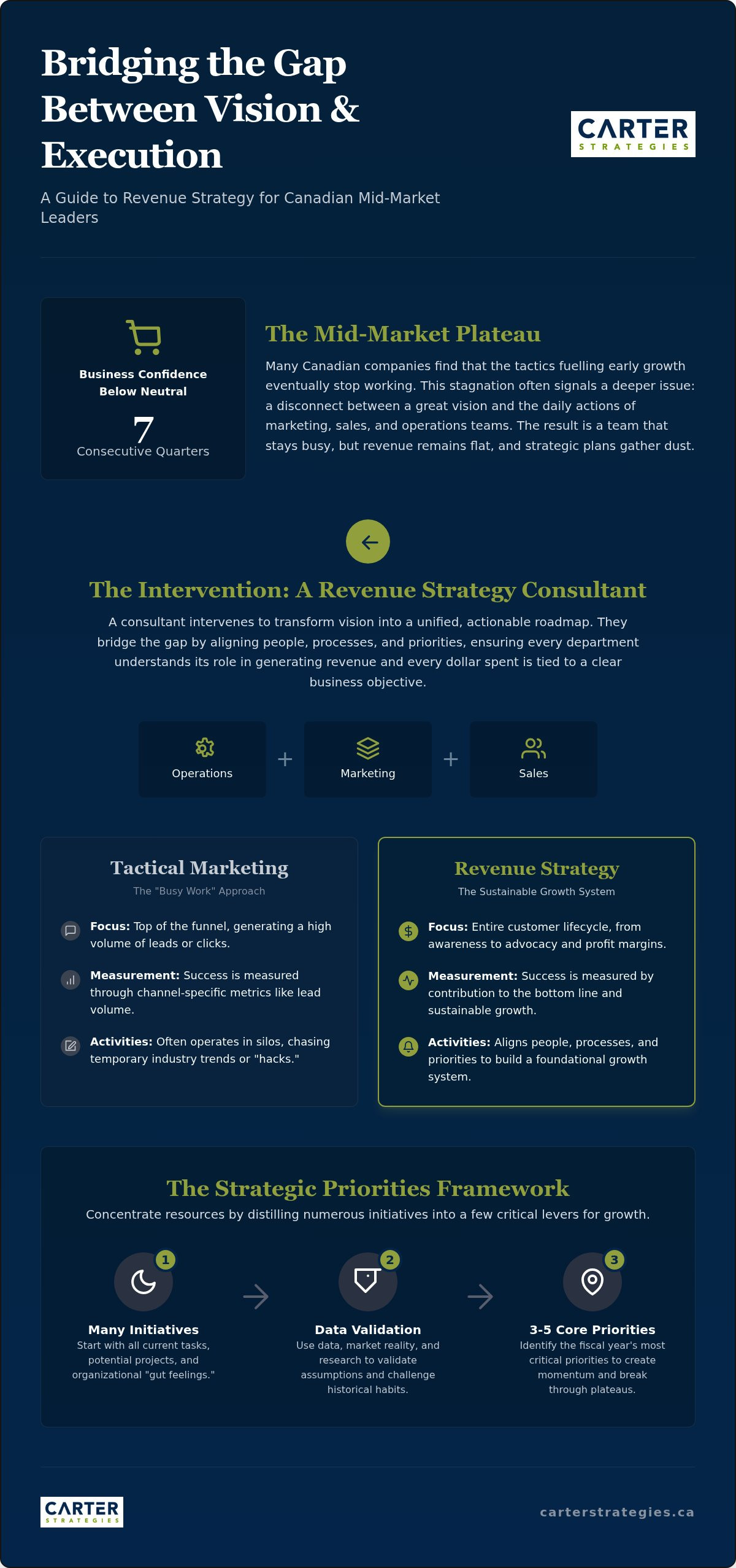 Revenue strategy consultant