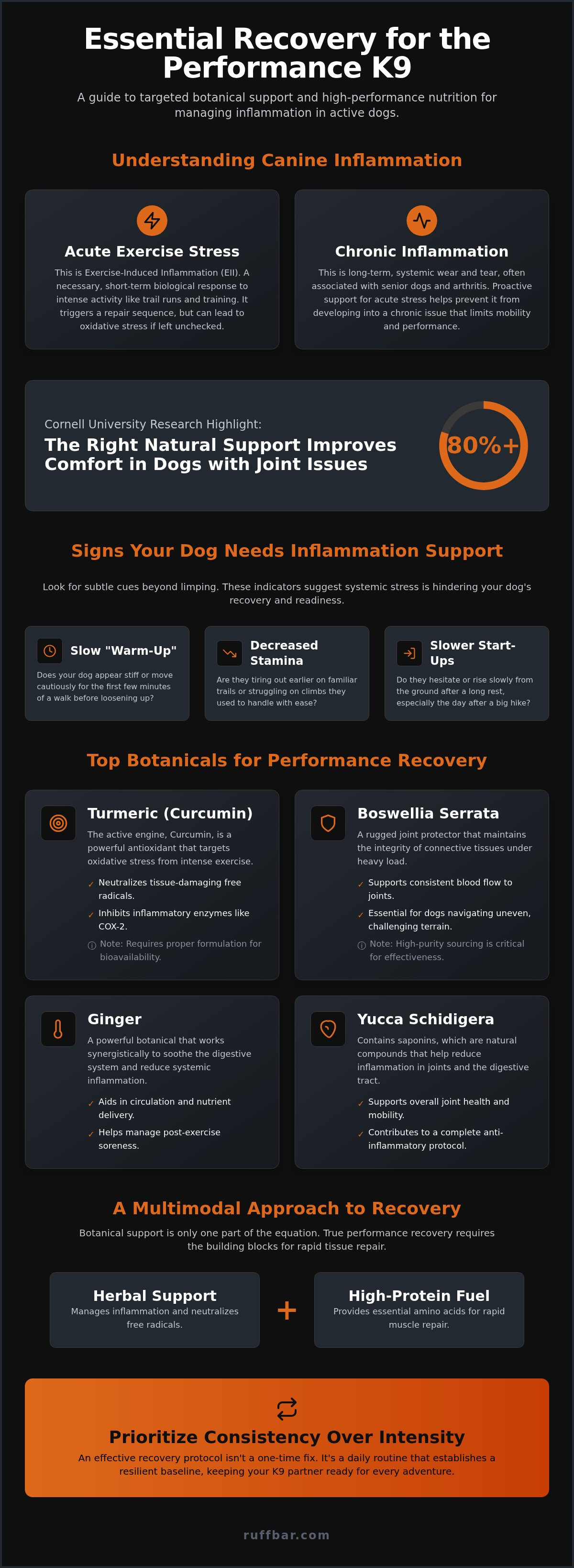 Inflammation support with herbs for dogs