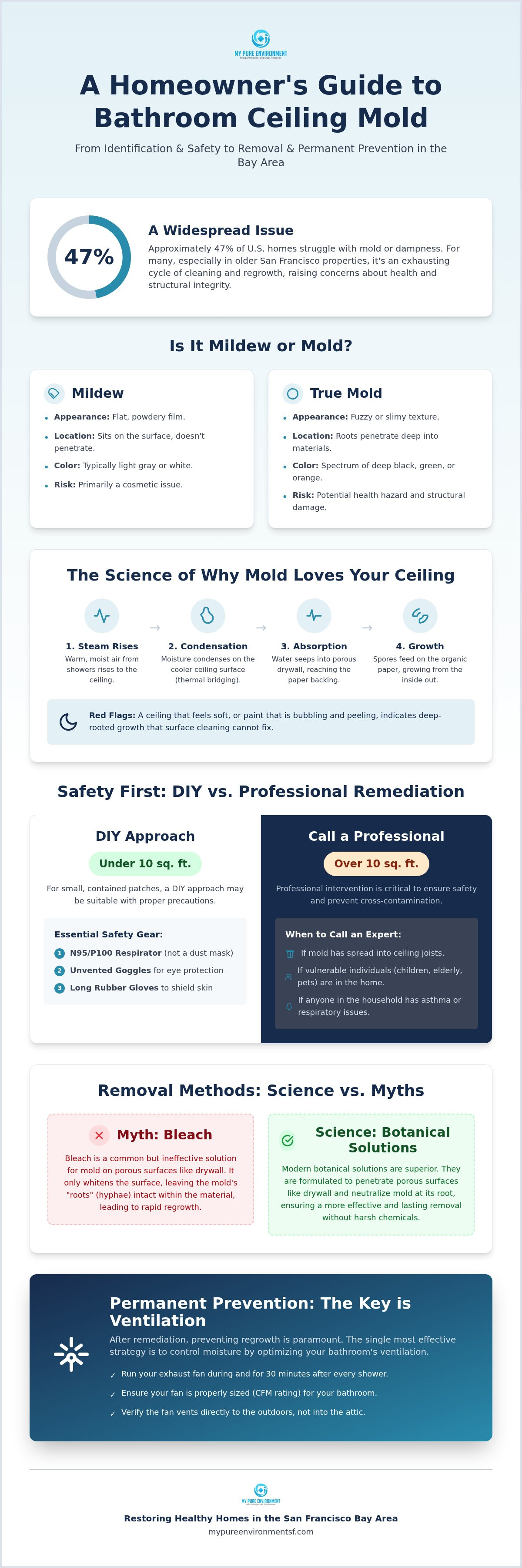 Bathroom ceiling mold removal