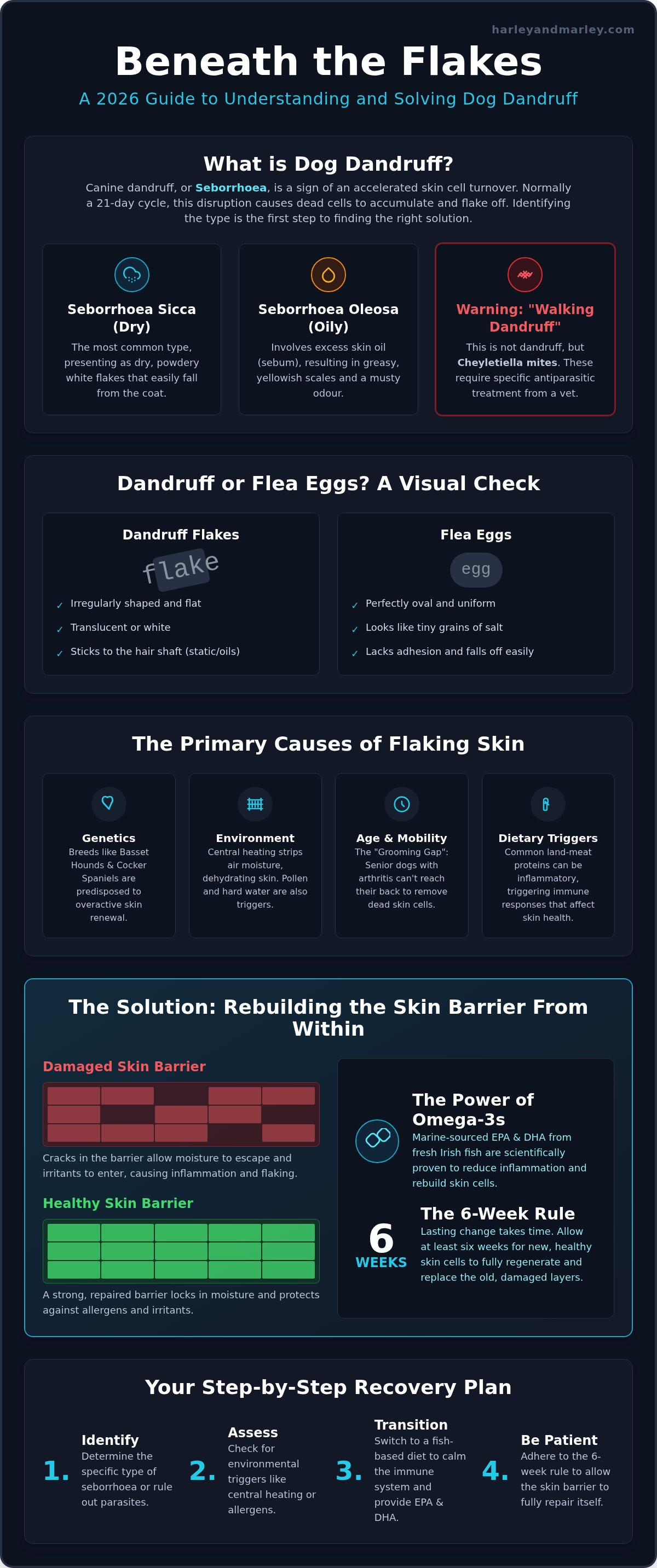 Dog dandruff causes and solutions