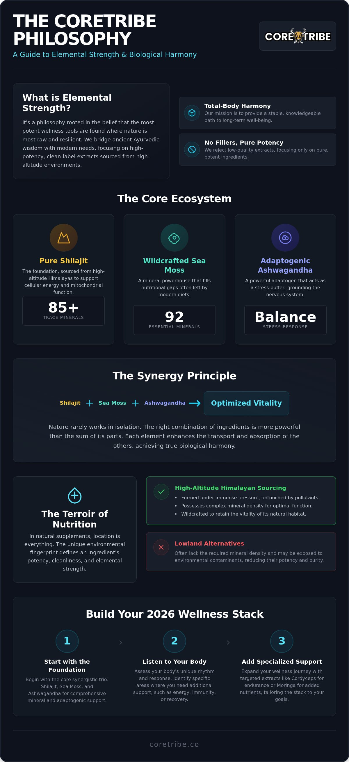 Complete guide to Coretribe