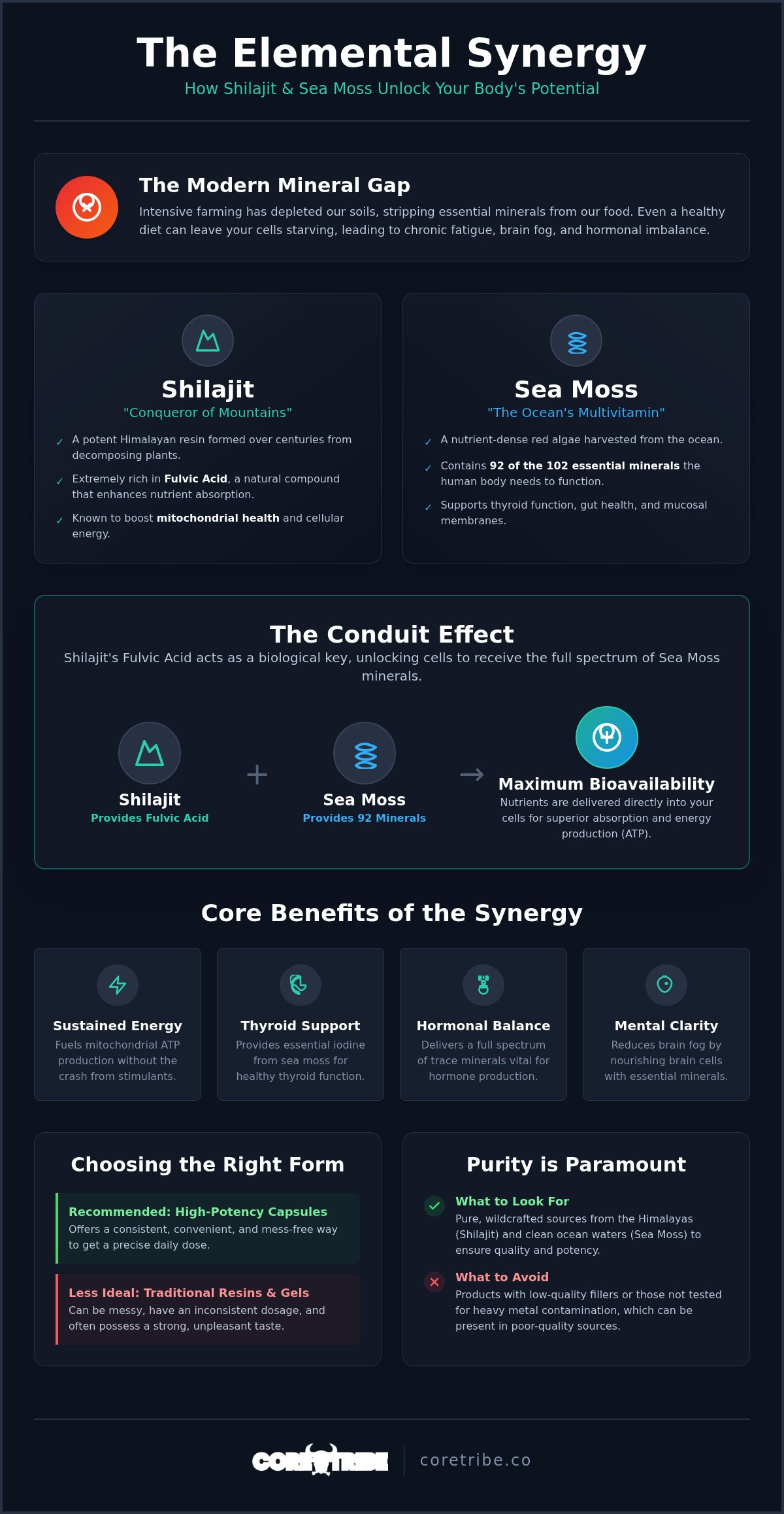 Shilajit and sea moss benefits