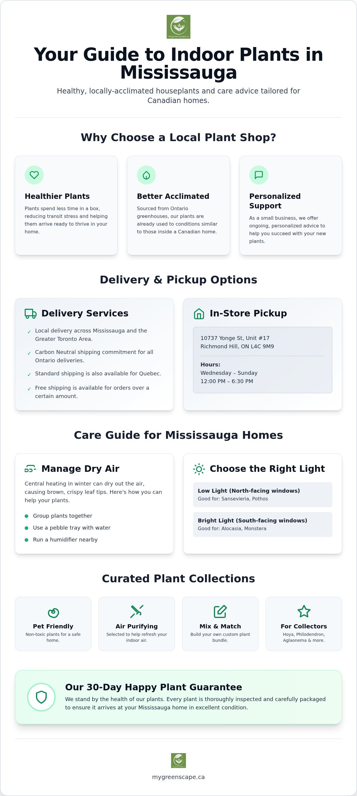 Indoor plant delivery mississauga