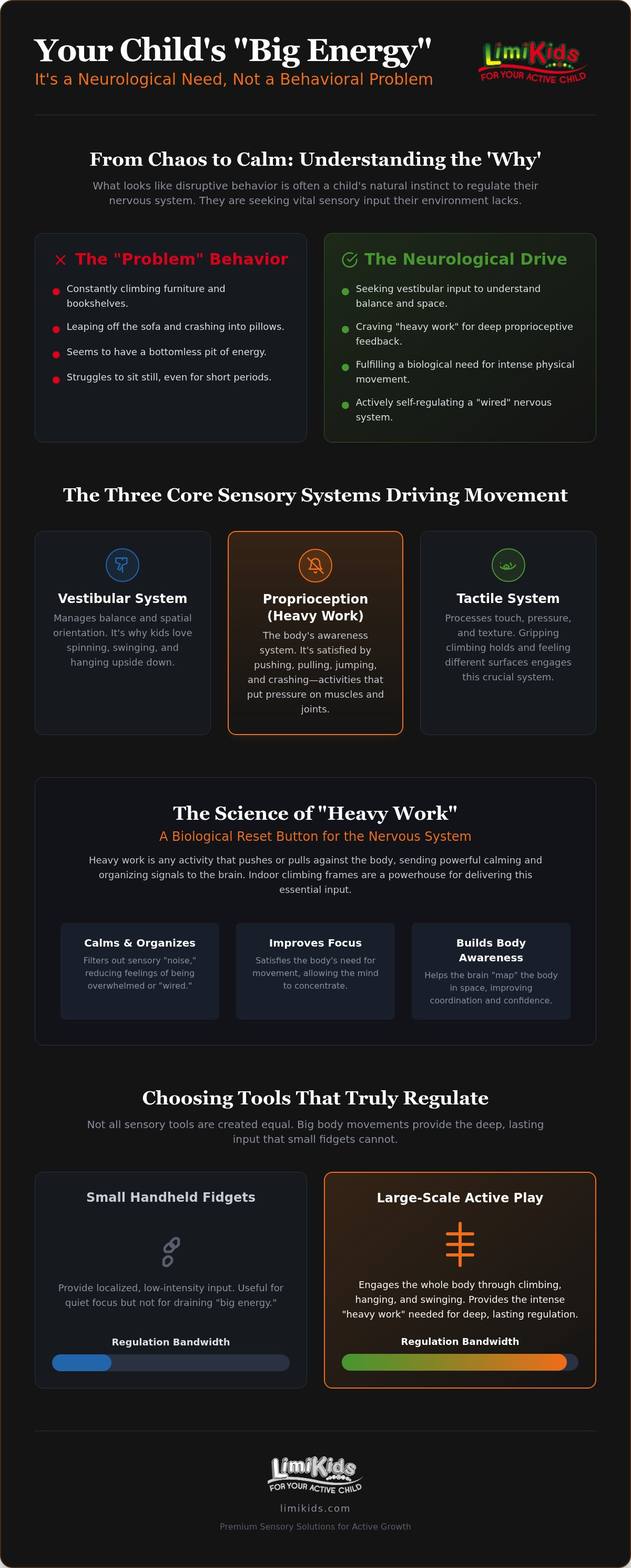 Sensory seeking toys for home