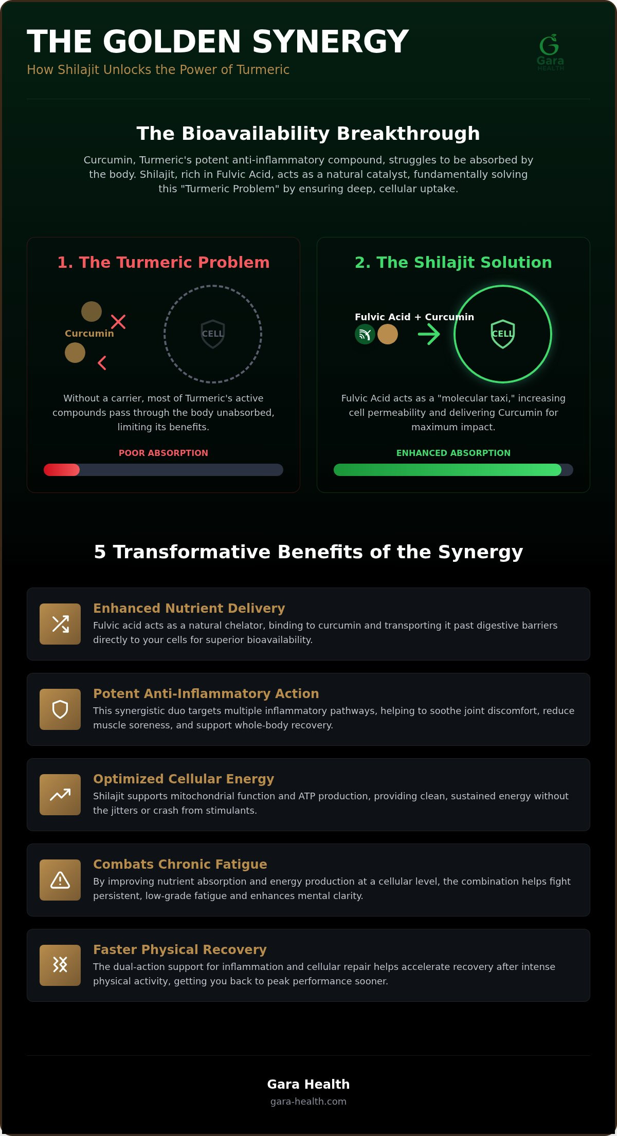 Shilajit and turmeric benefits