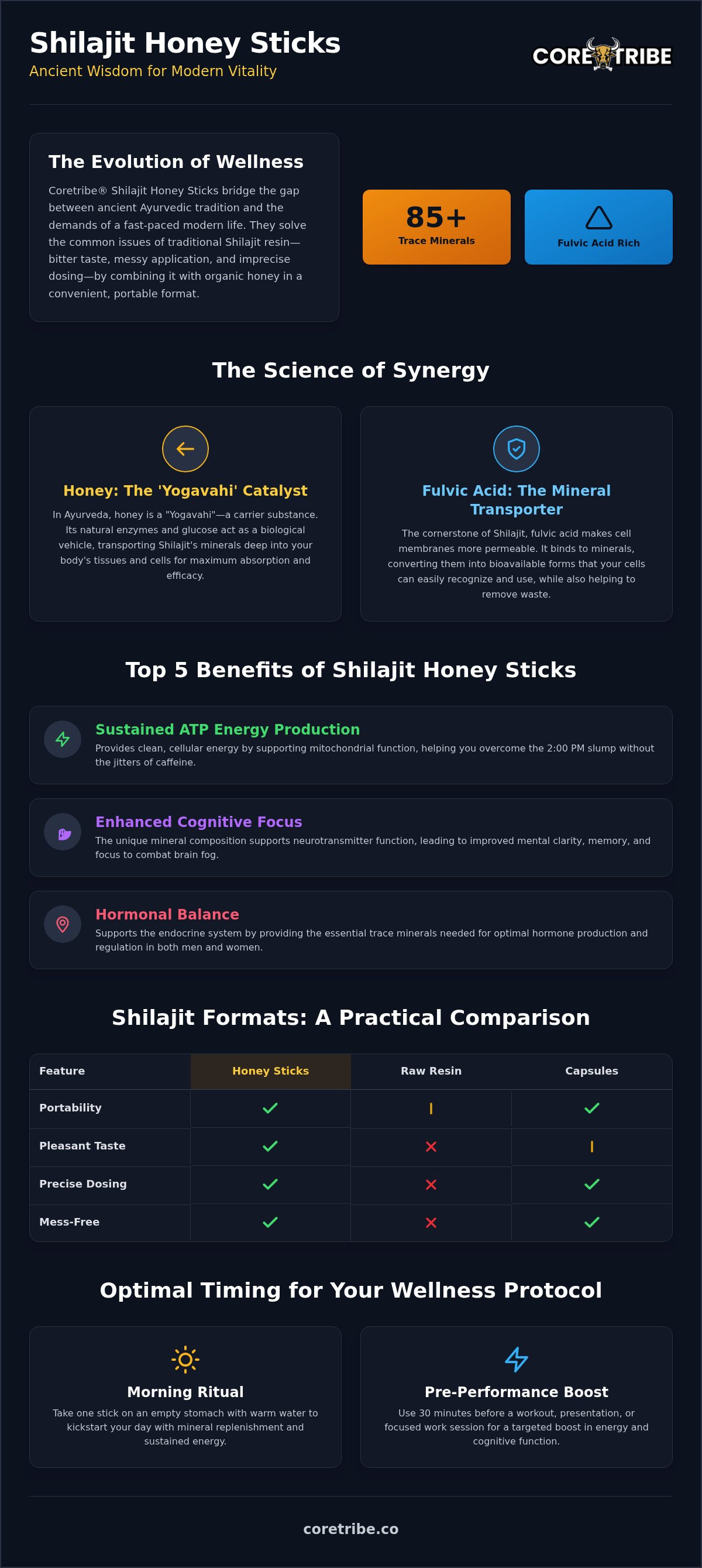 Shilajit honey sticks benefits