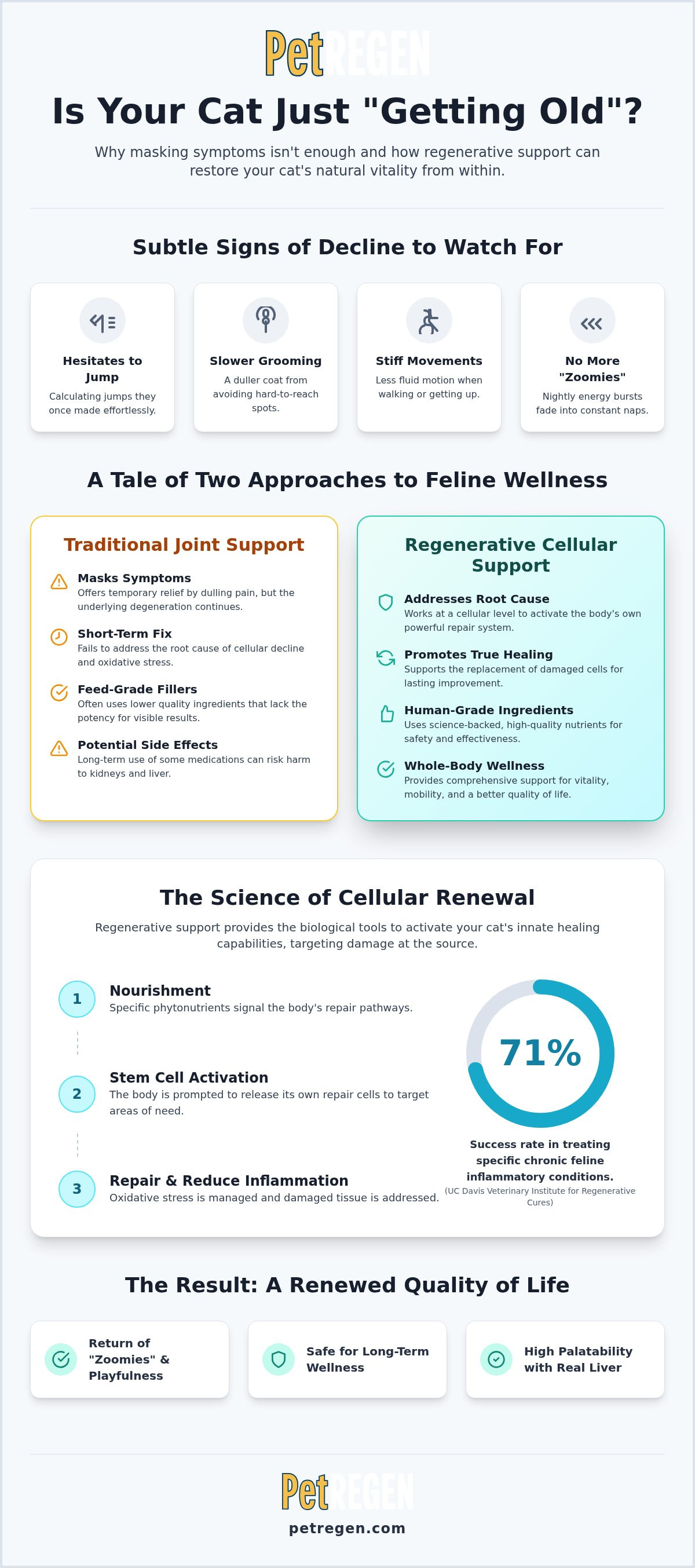 Why I chose a regenerative supplement for my cat