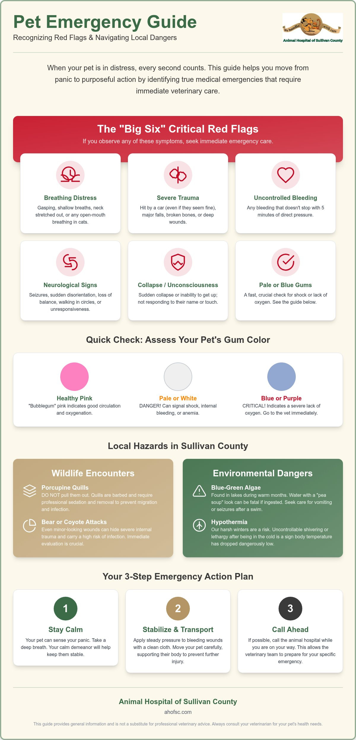 When to seek emergency vet care Sullivan County