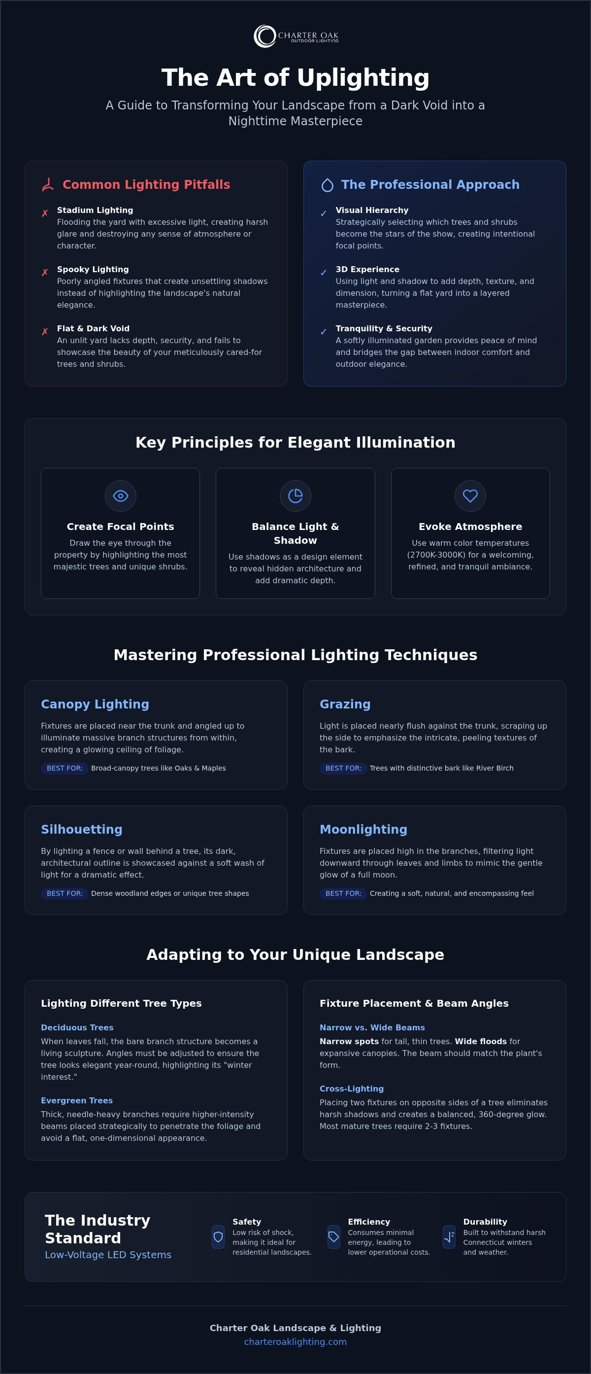 Uplighting trees and shrubs