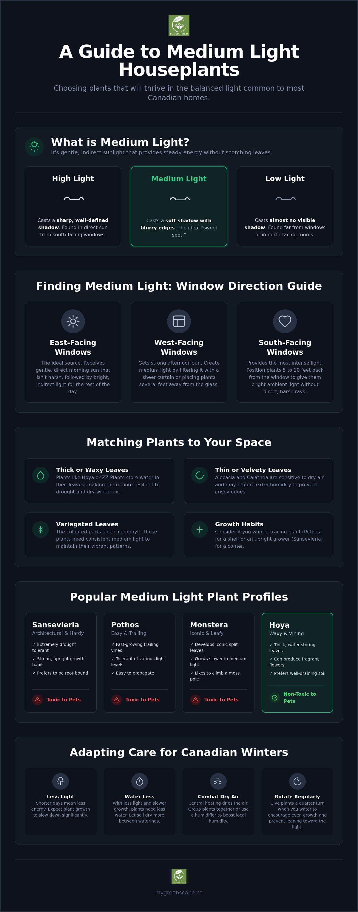 Medium light plants