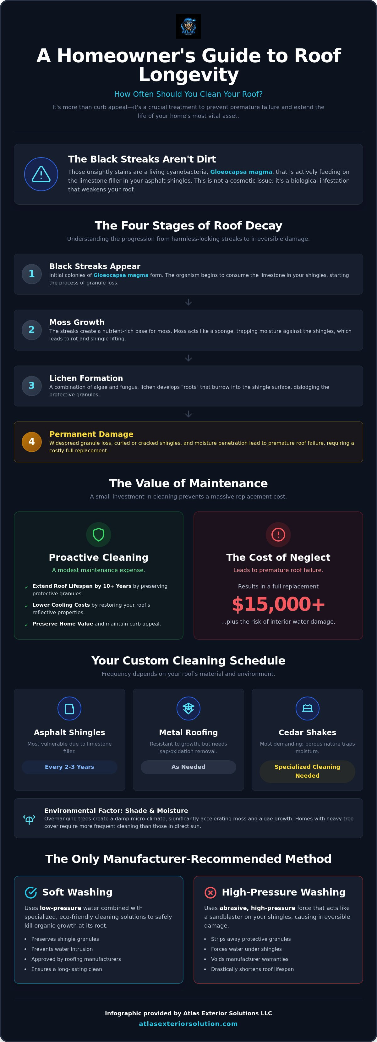 How often should you clean your roof