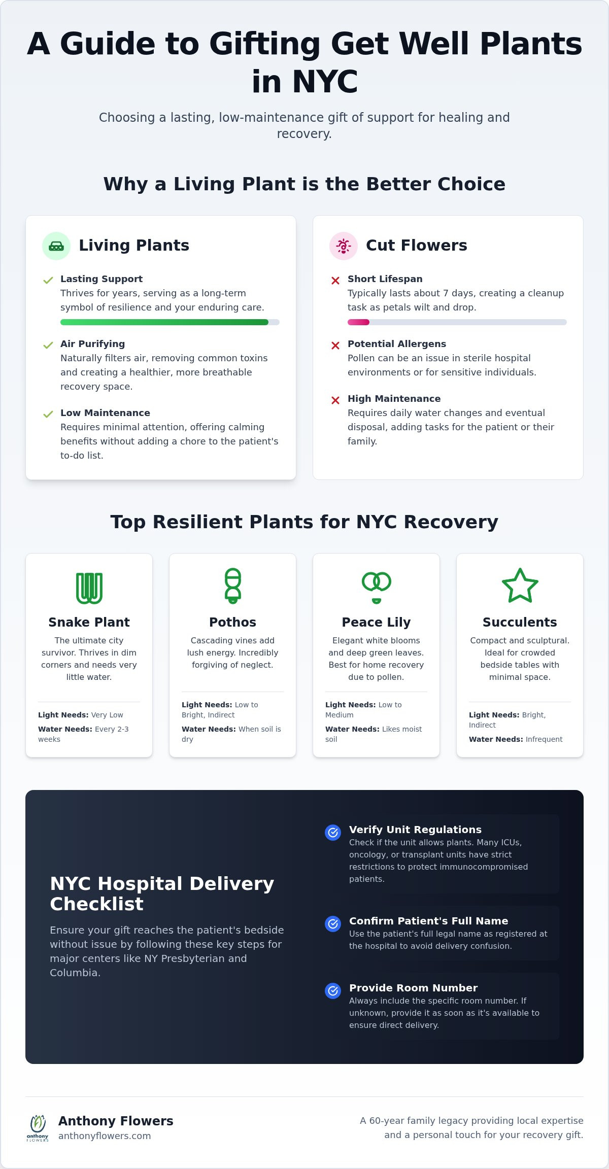 Get well plants NYC