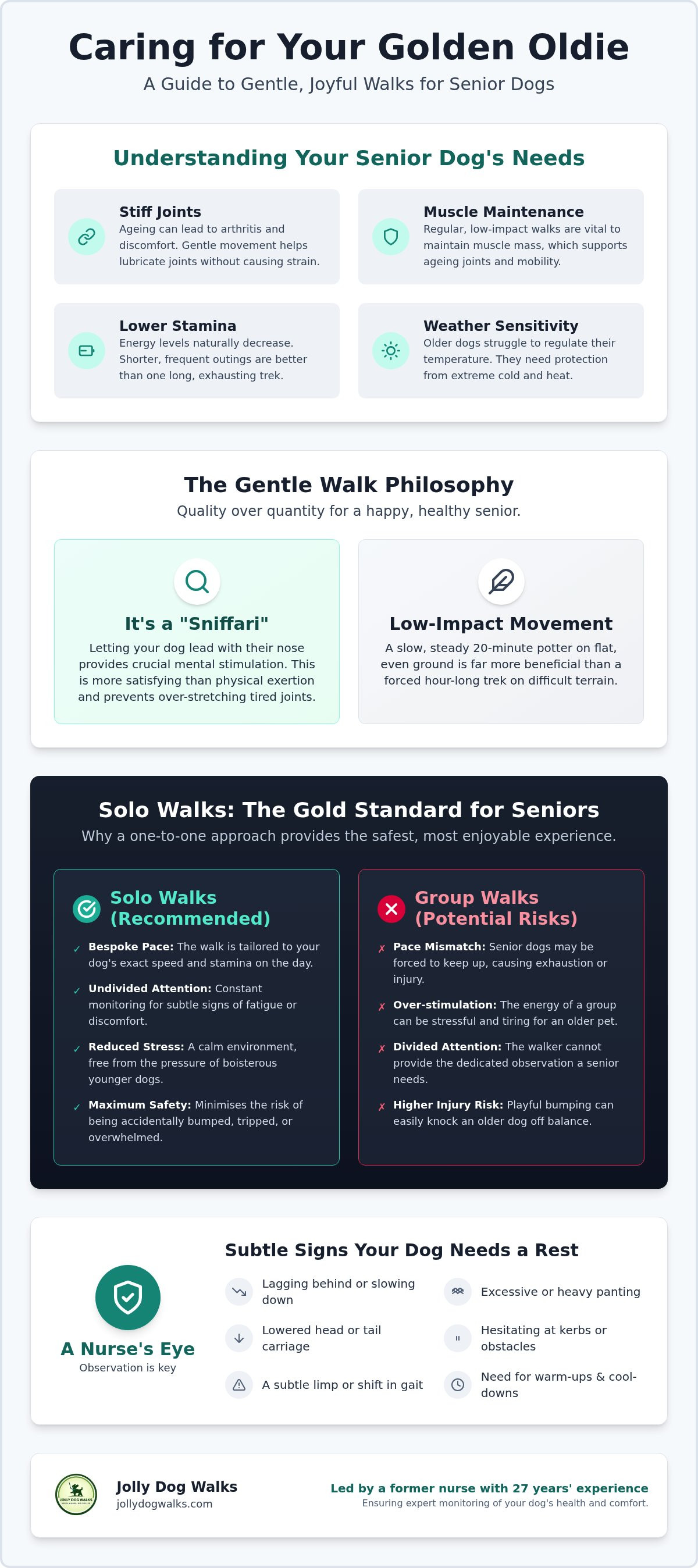 Gentle dog walks for senior dogs Barton