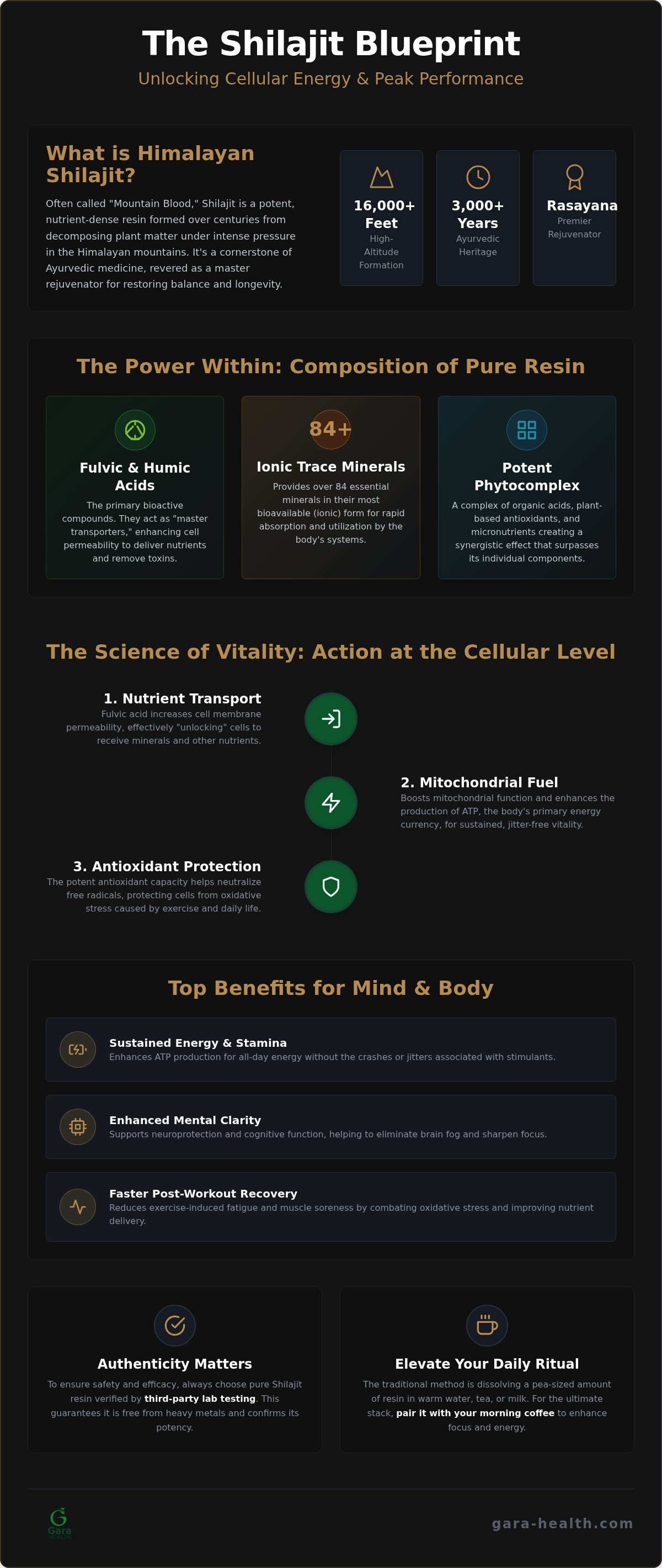 Himalayan shilajit benefits
