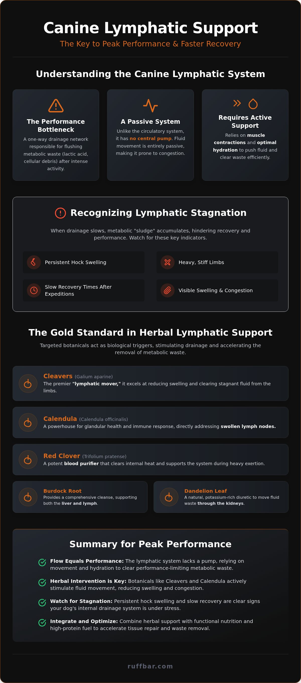 Lymphatic support with herbs for dogs