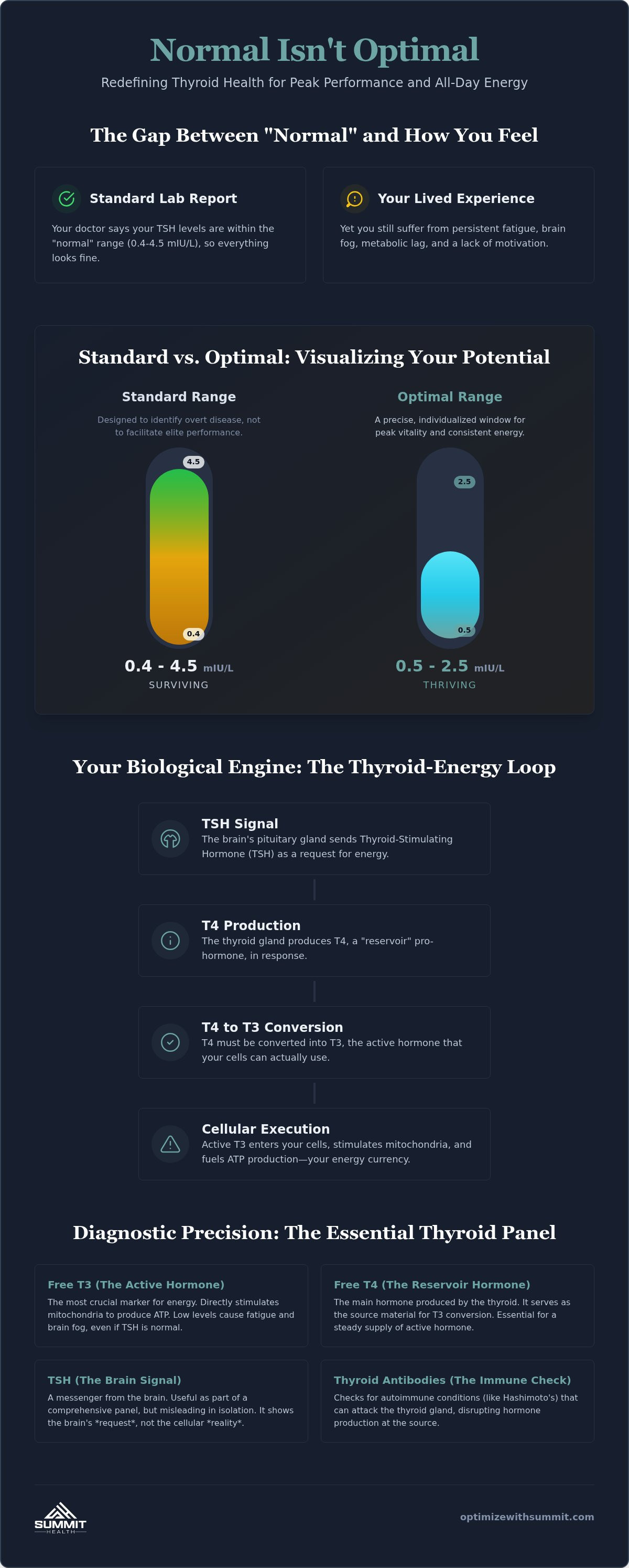 Thyroid optimization for energy