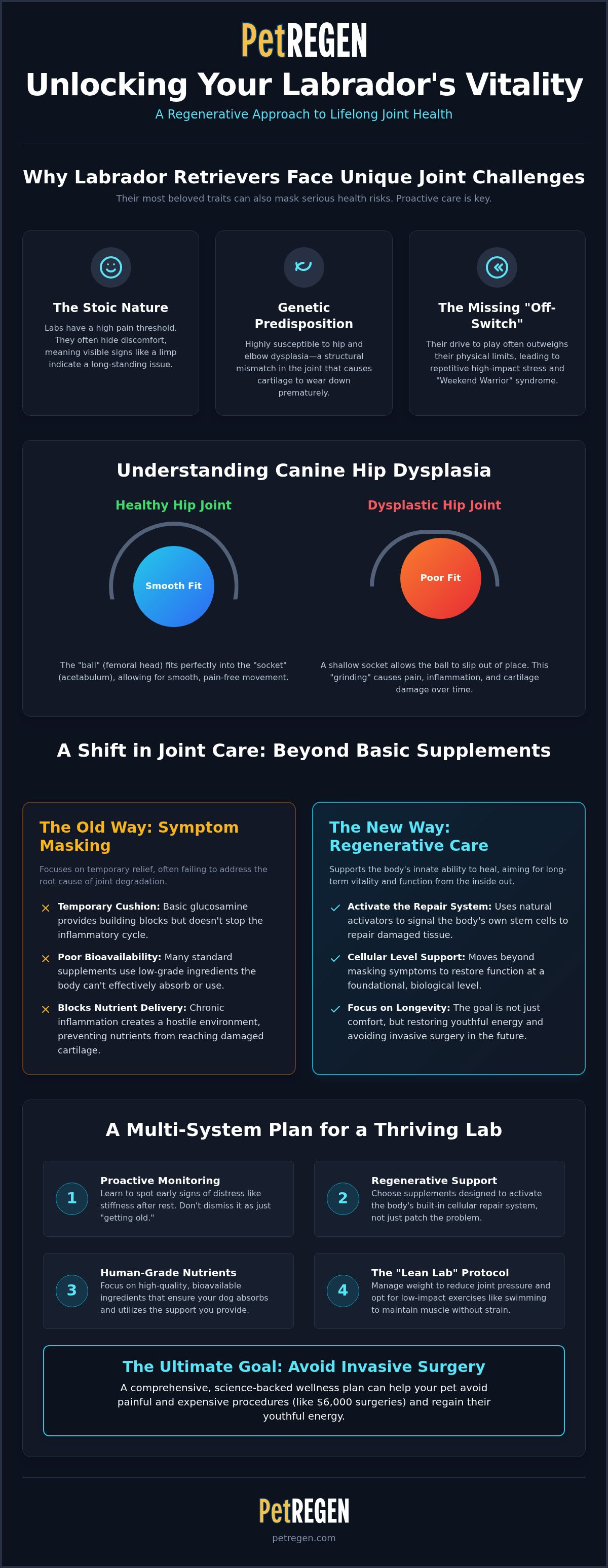 Supplements for labrador hip dysplasia