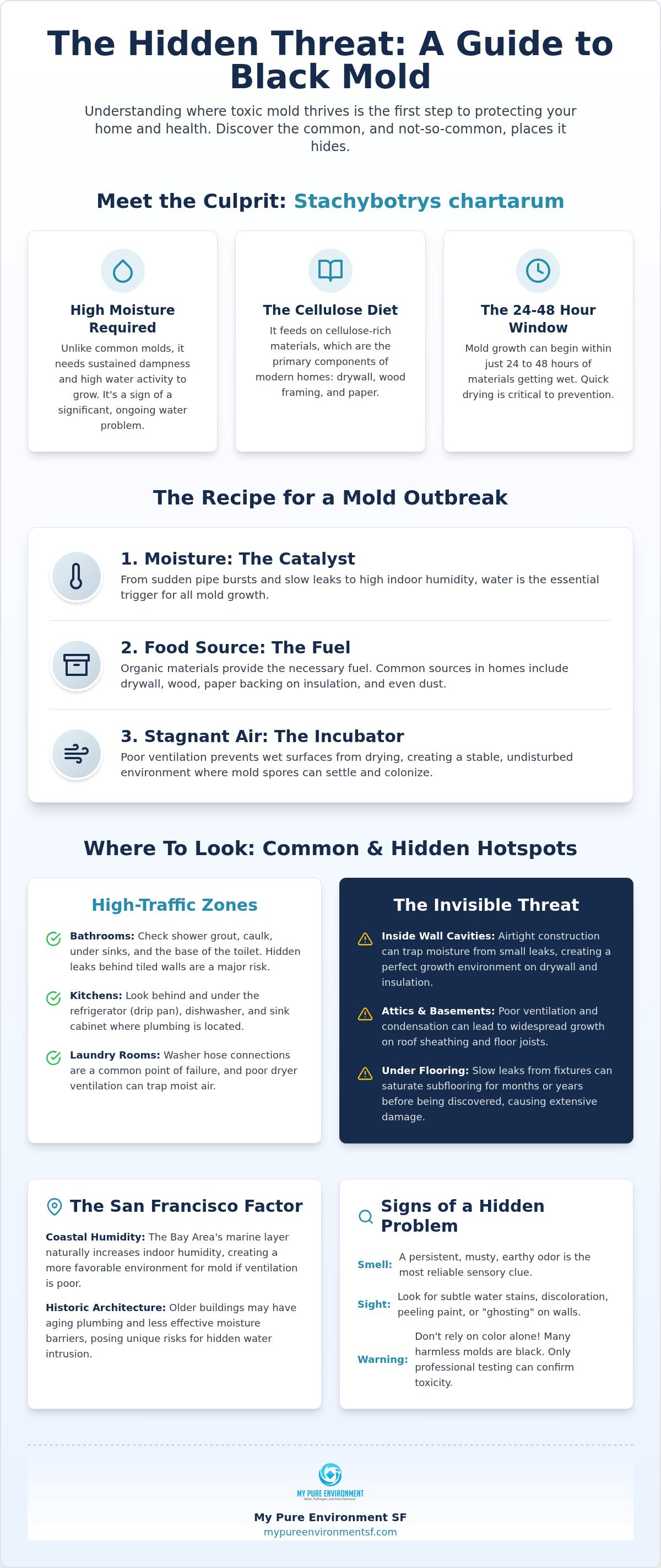 Where does black mold grow