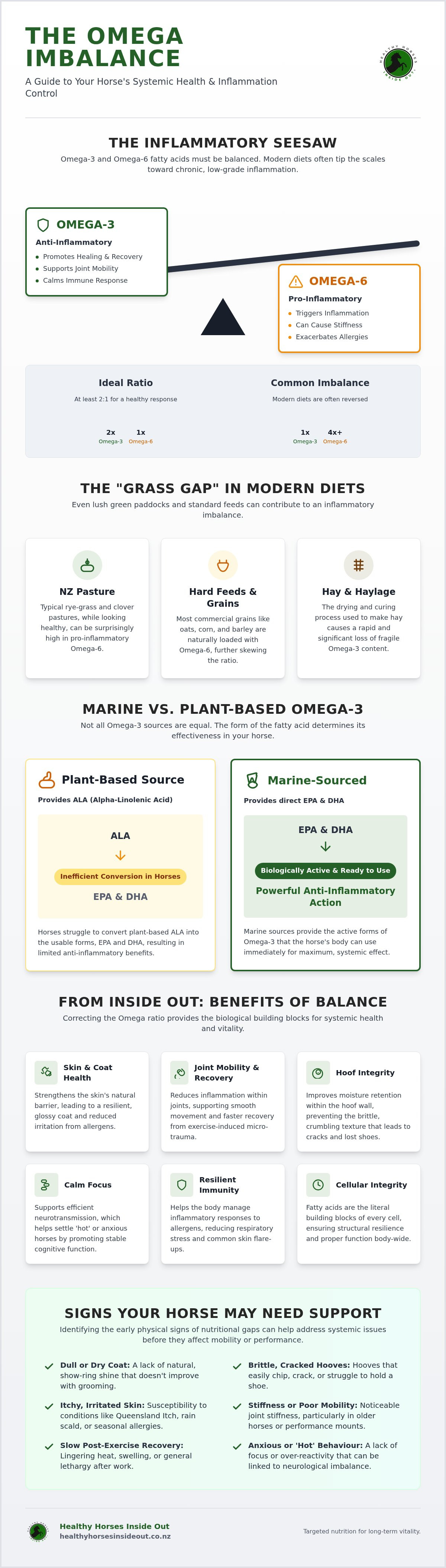 Horse omega 3 supplements