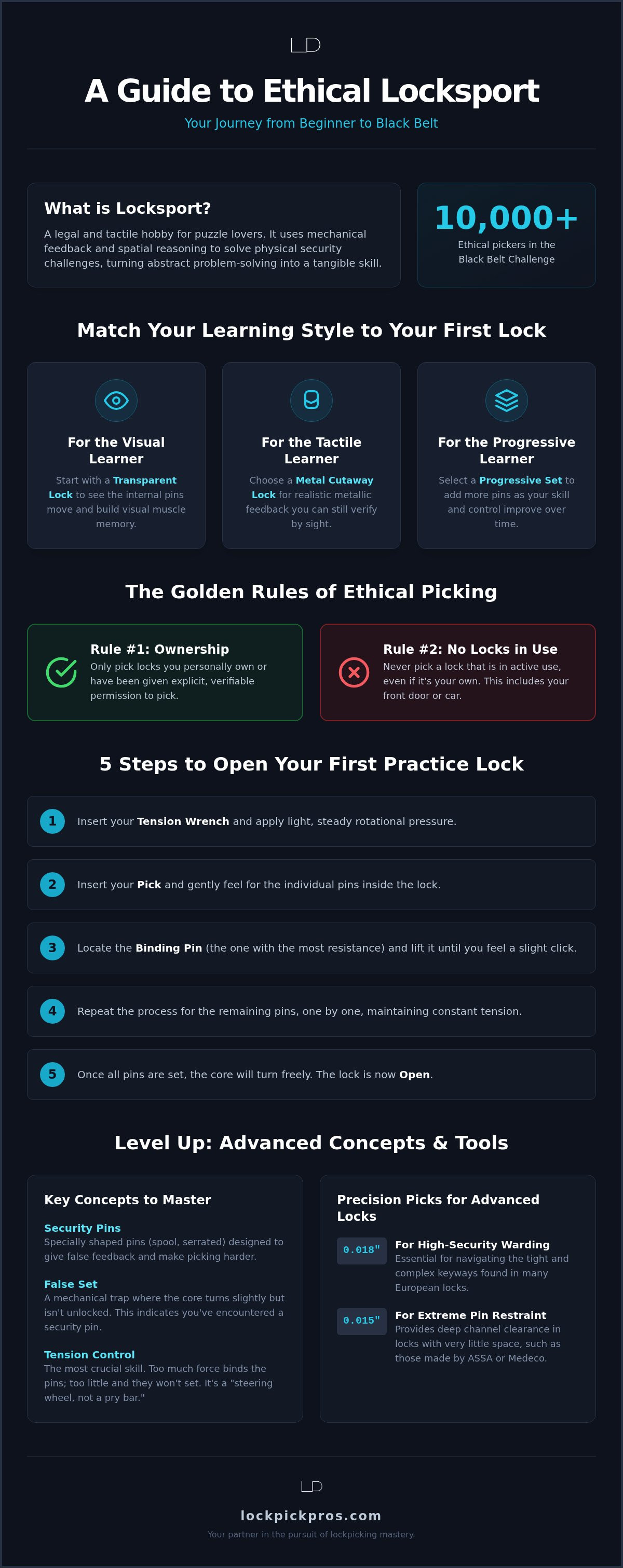Lock picking for puzzle lovers