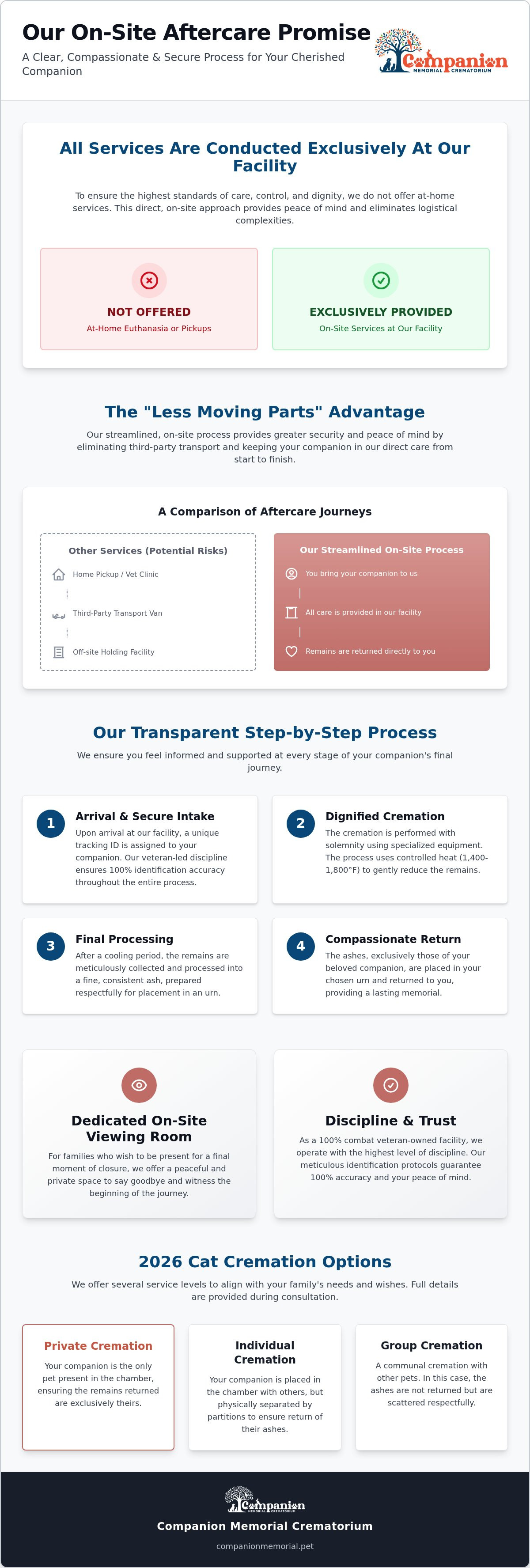 Pet cremation process step by step