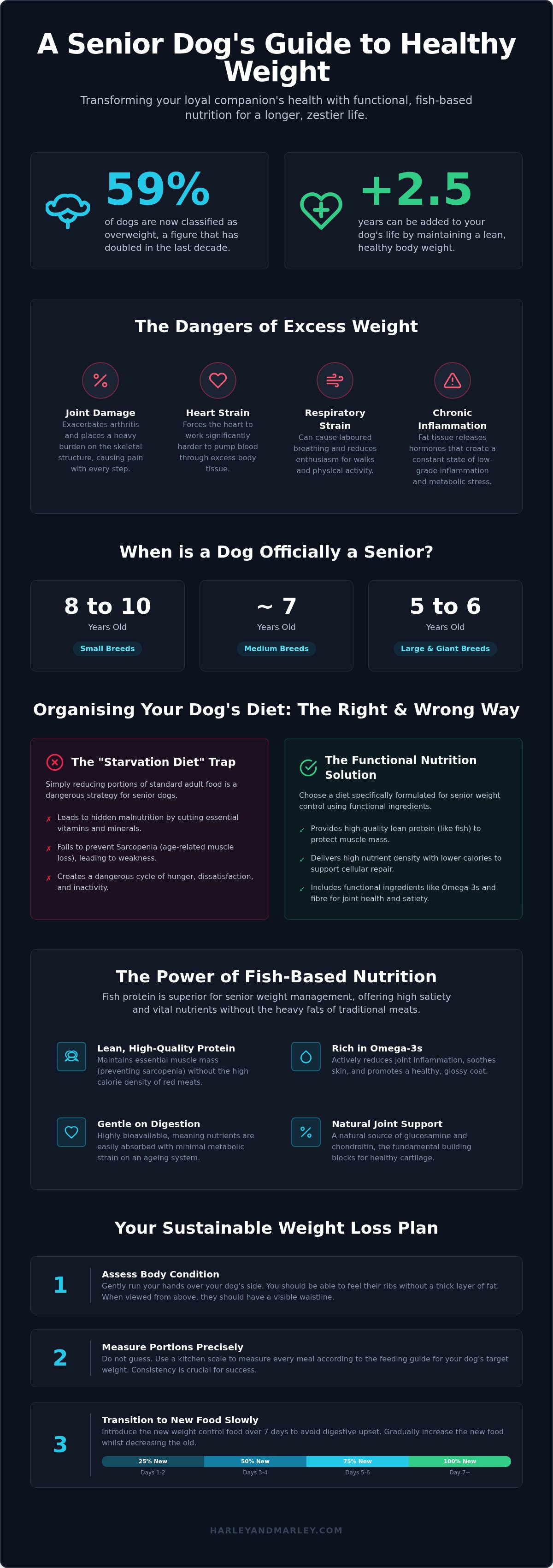 Best dog food for overweight senior dogs