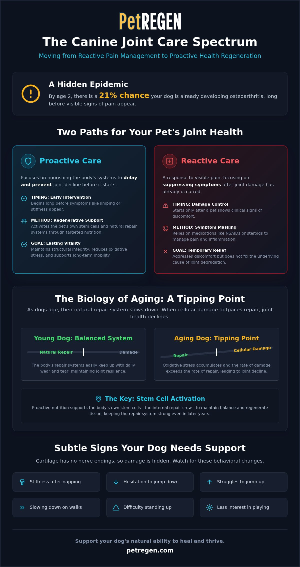 Proactive vs reactive joint care for dogs