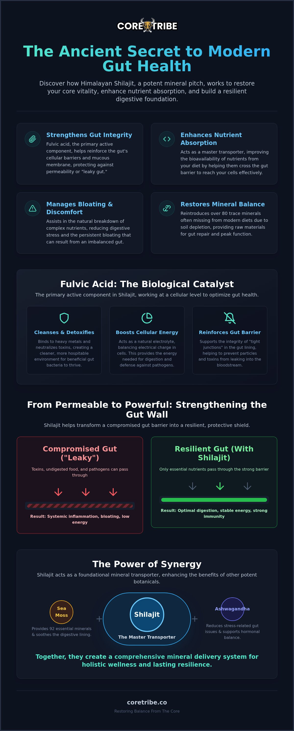 Shilajit gut health