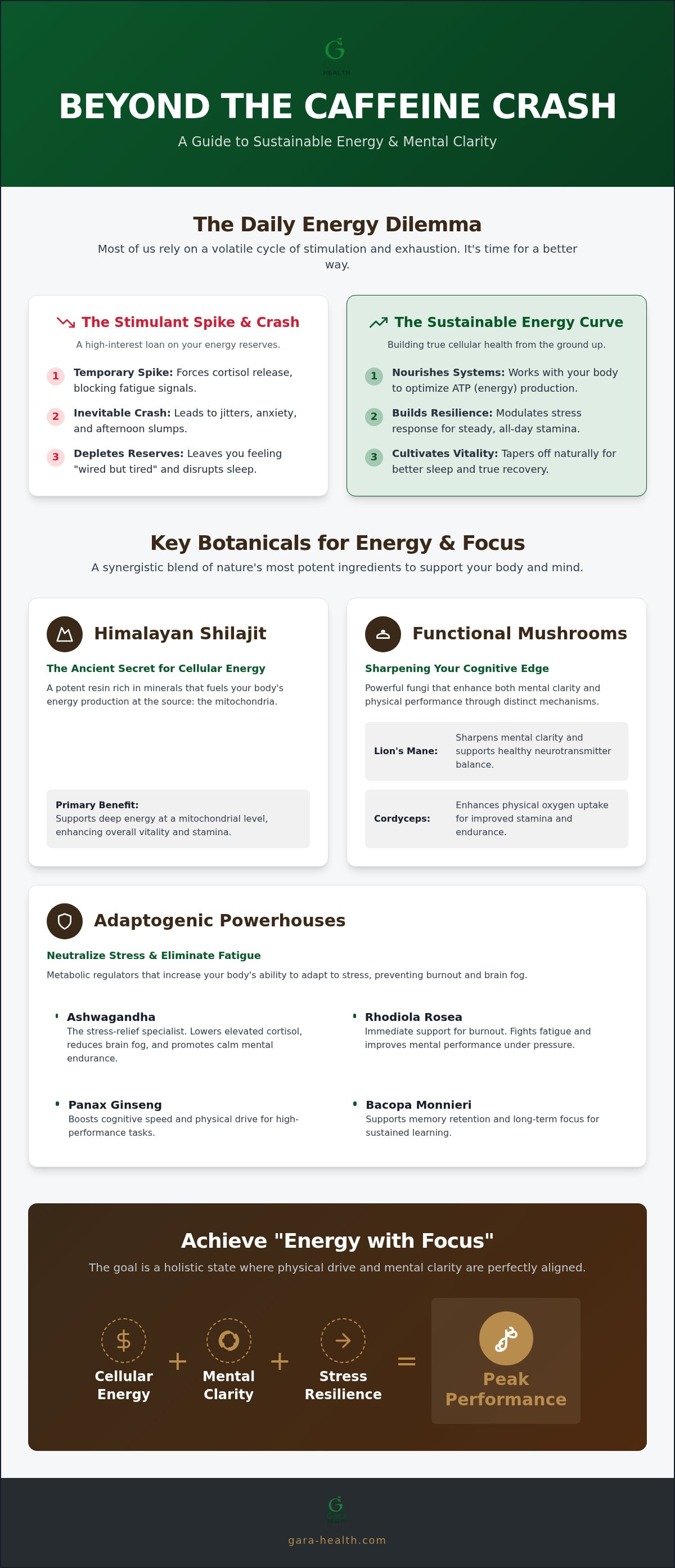 Herbs for energy and focus