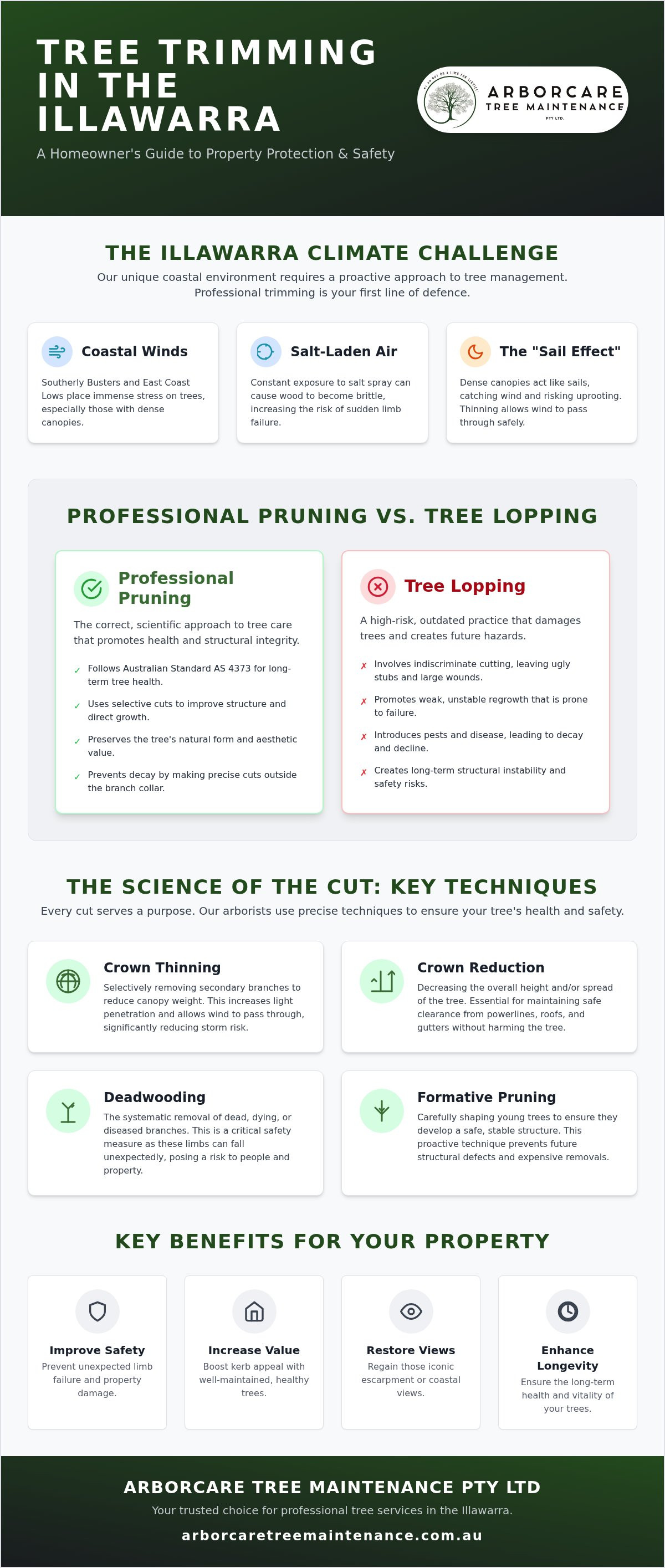 Tree trimming Illawarra