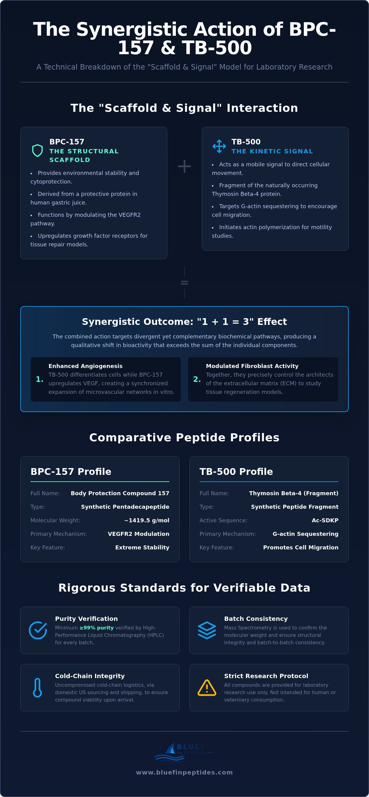 BPC-157 and TB-500 synergistic effects research