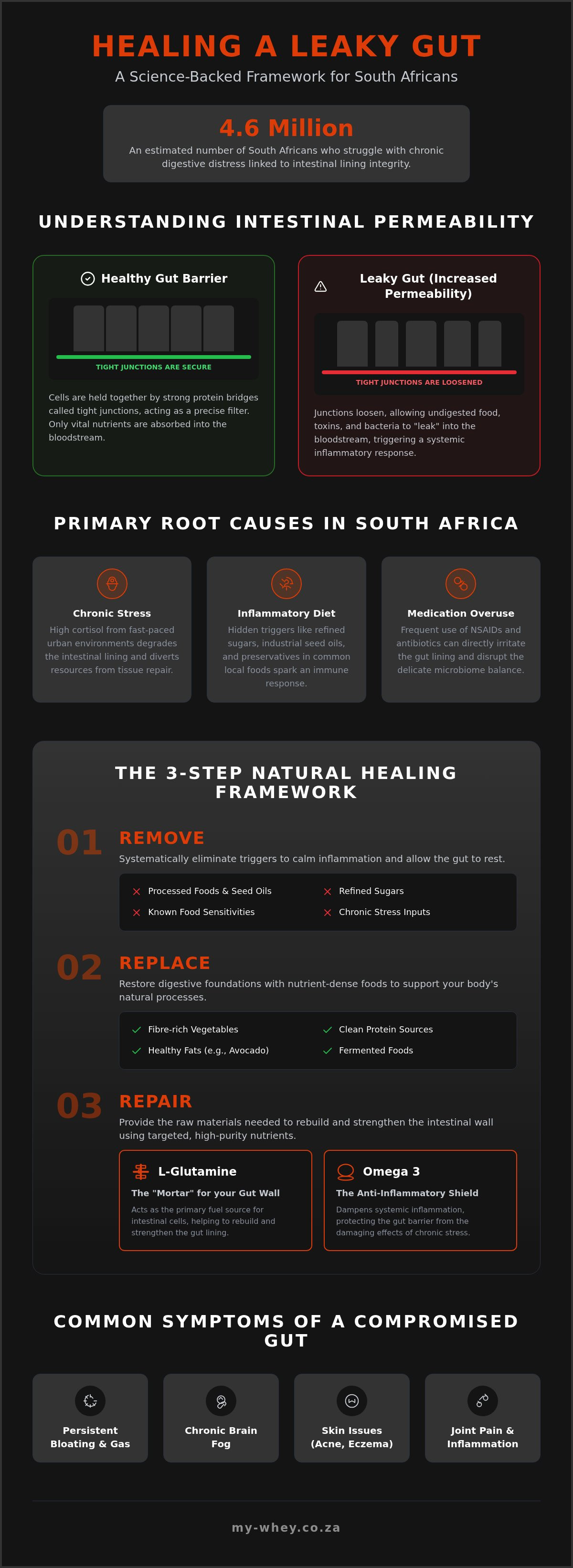 How to heal a leaky gut naturally south africa