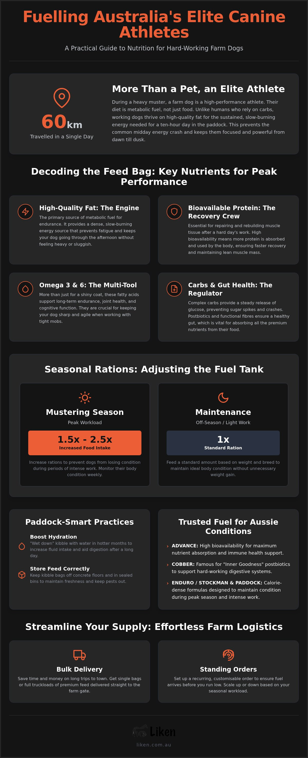 What to feed working farm dogs