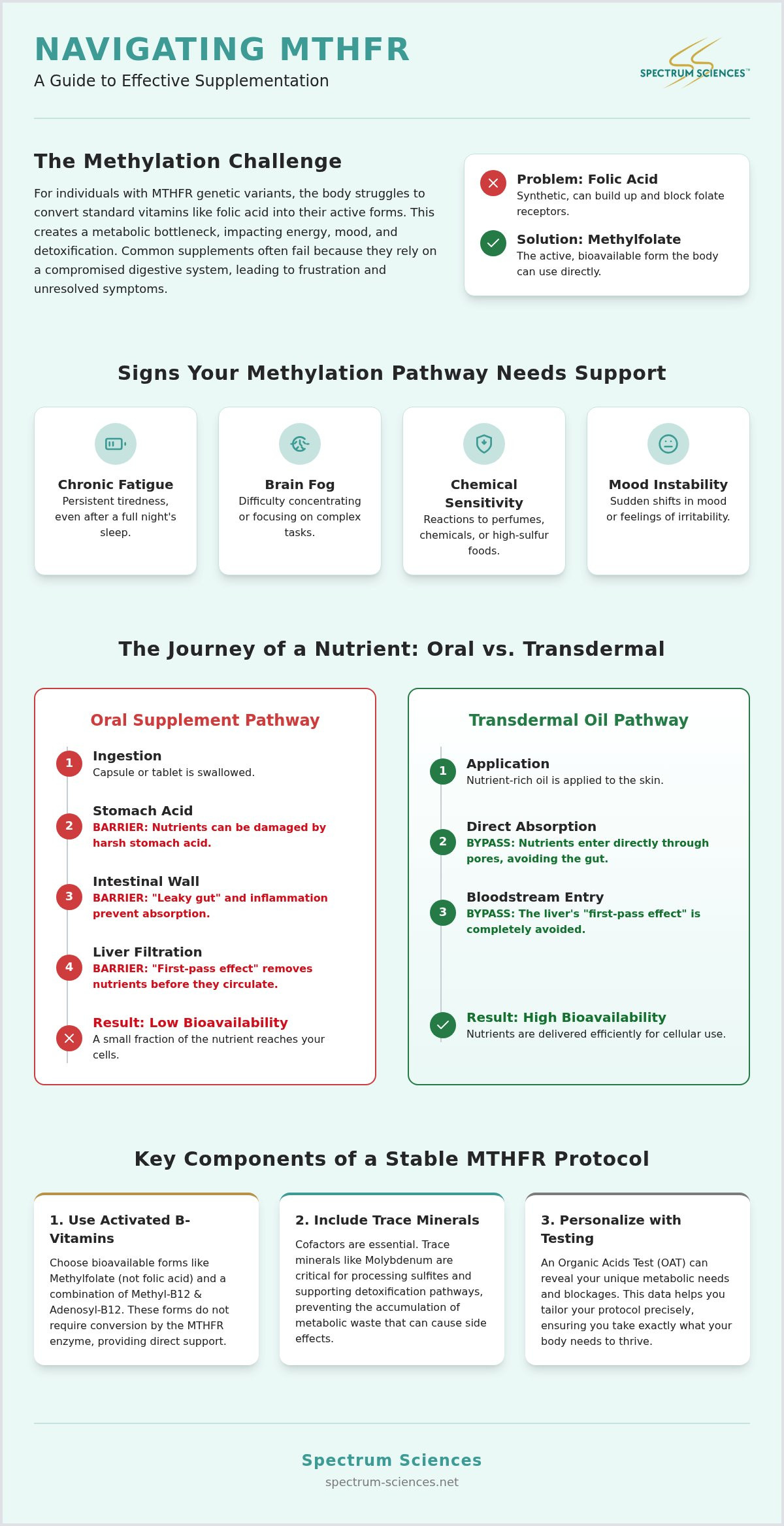 MTHFR supplement protocol
