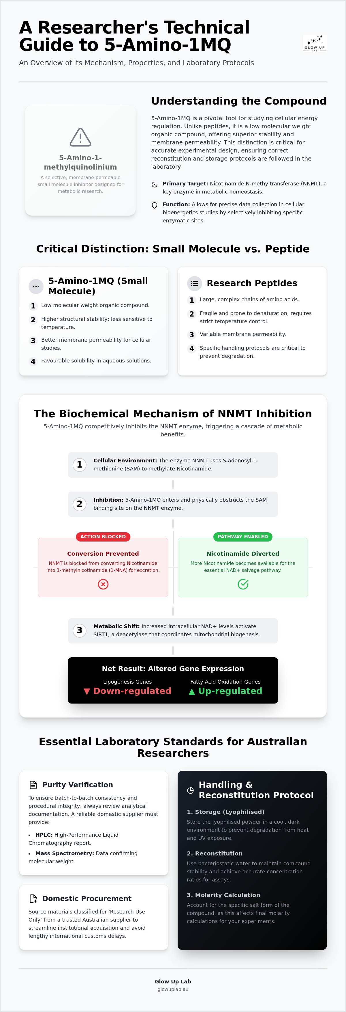 5-amino-1mq research australia