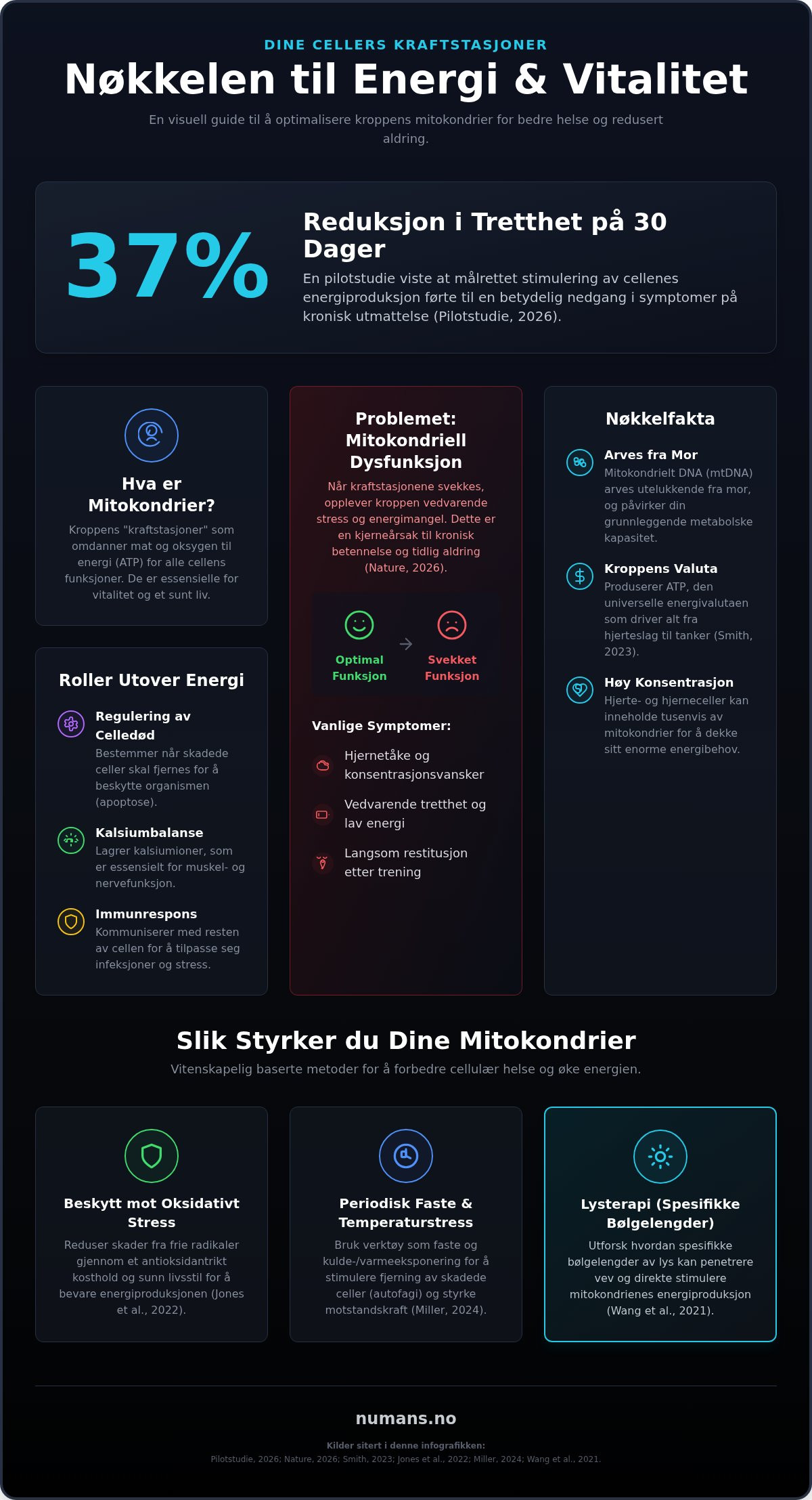 Mitokondrier