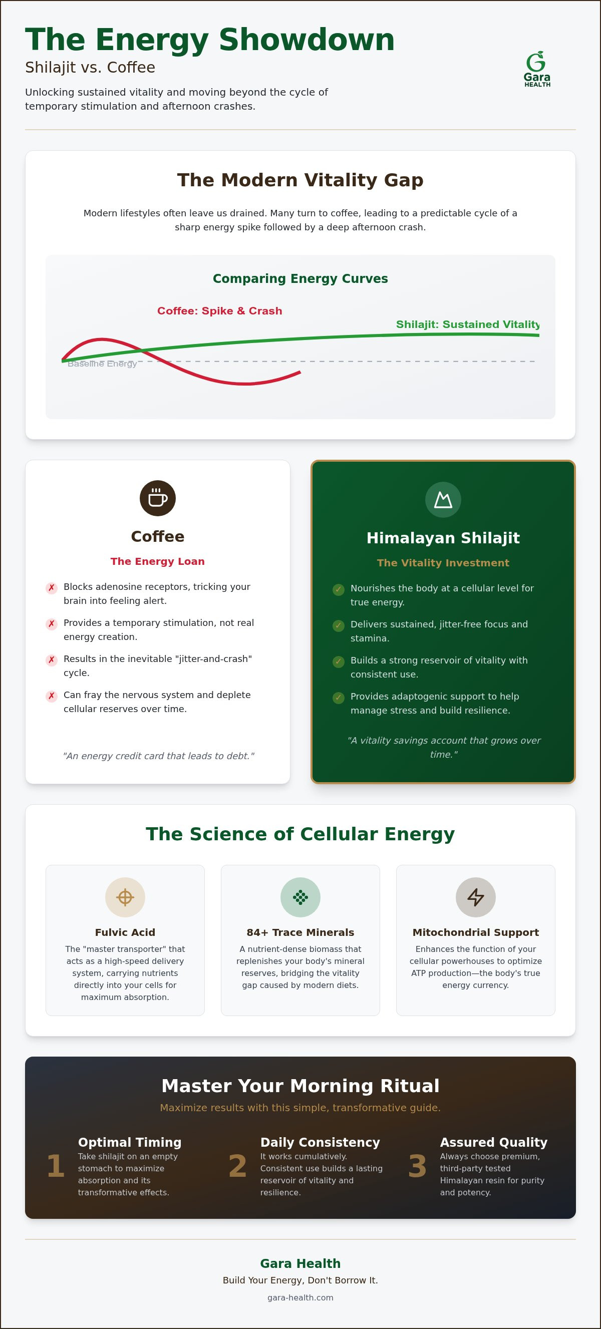 Shilajit vs coffee for energy