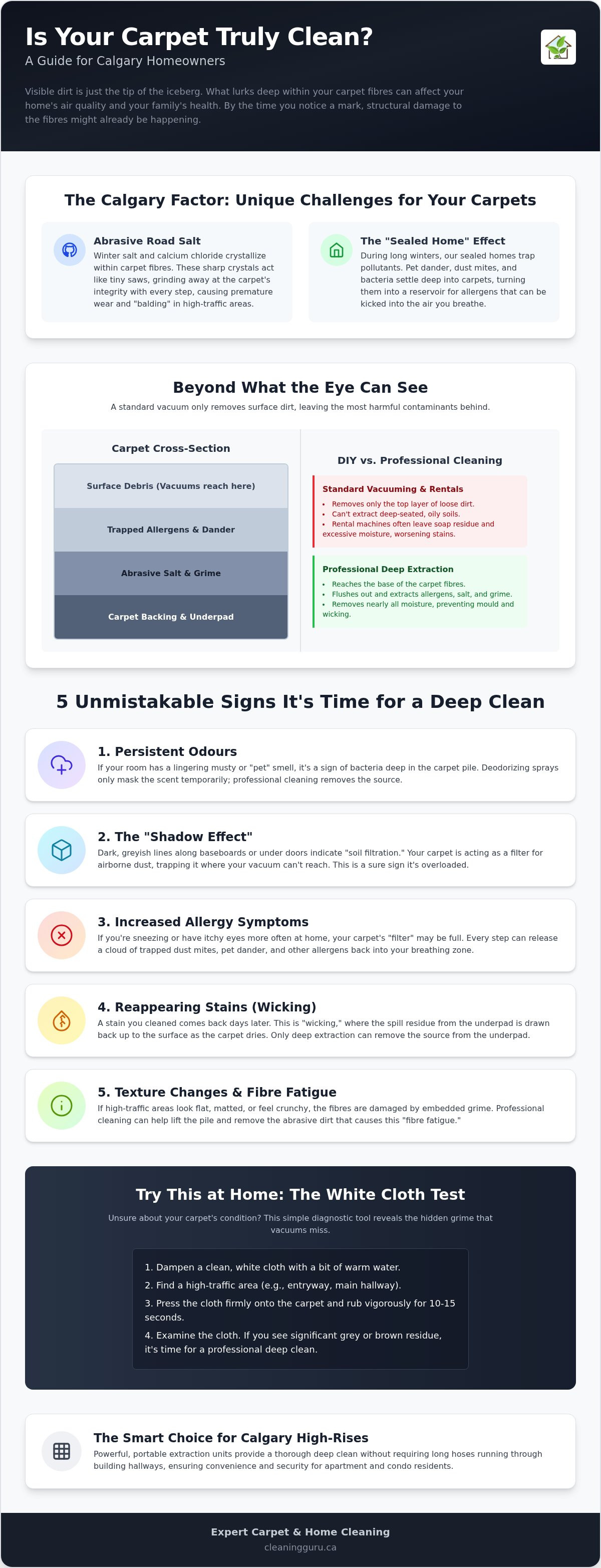 Signs your carpet needs professional cleaning